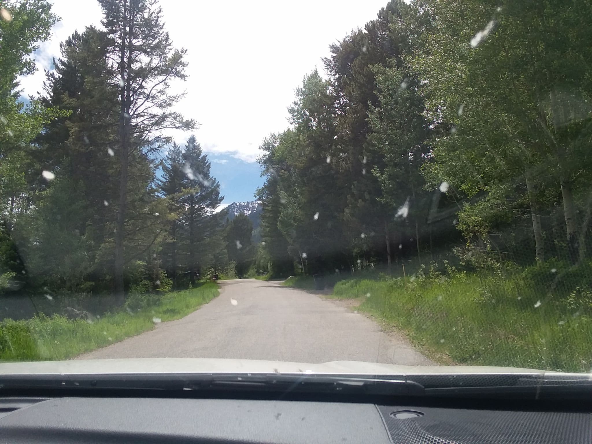 Street view near Teton Retreat House, Moose Wilson Road — © shantalb (CC BY-SA · Mapillary)