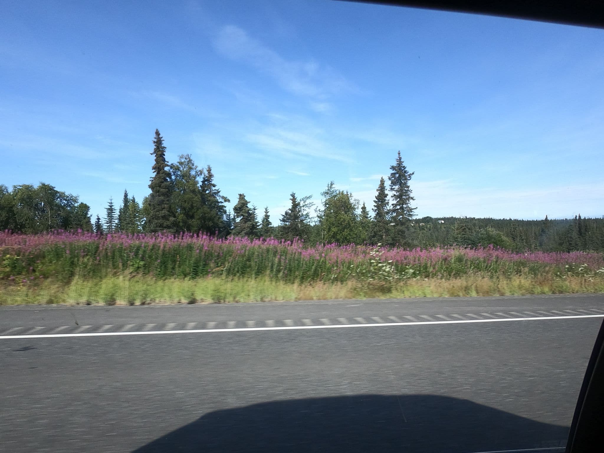 Street view near Que'ana Bar & Sleeping Lady Gifts, Cohoe — © missmichiko (CC BY-SA · Mapillary)
