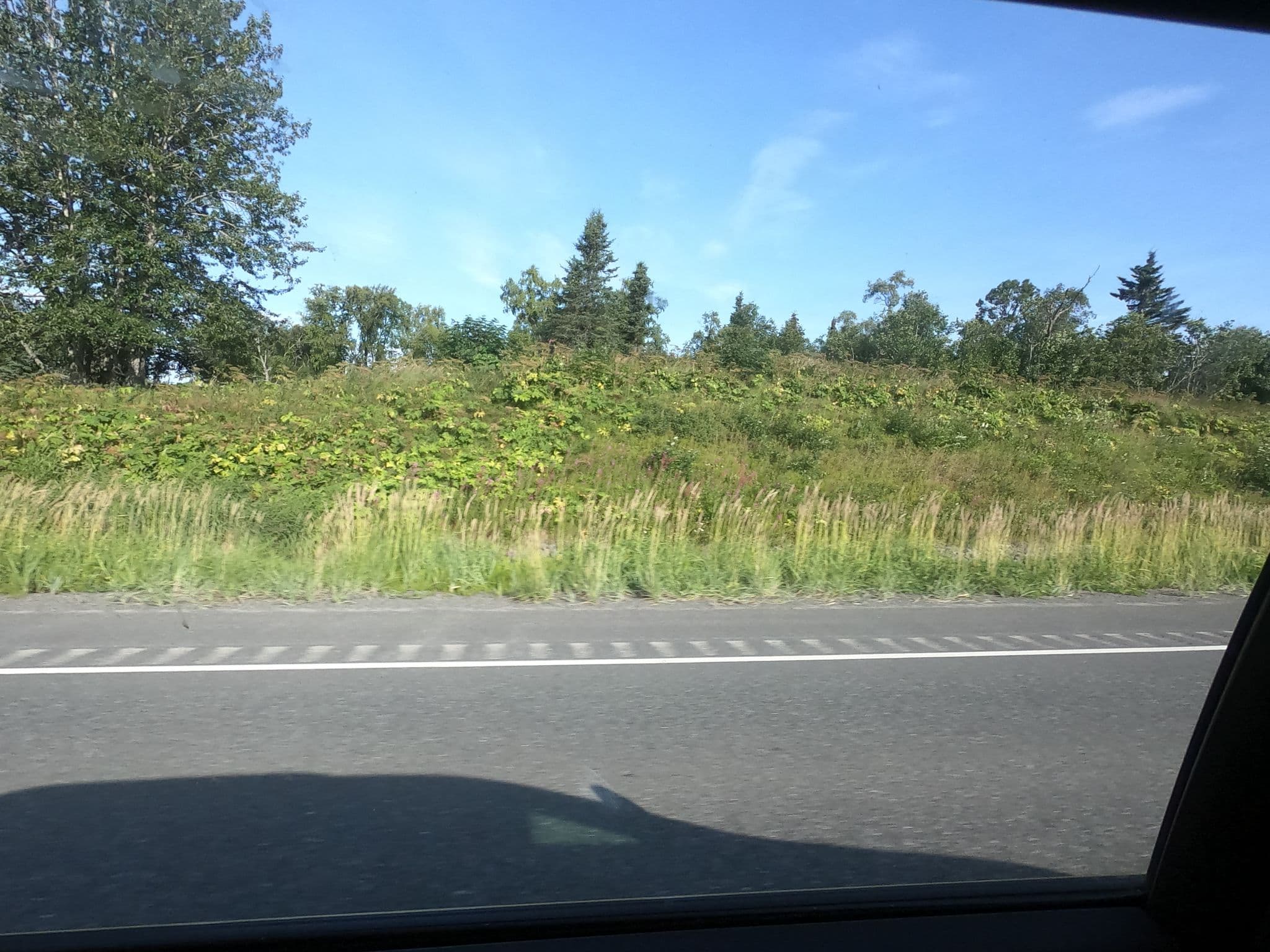 Street view near Ninilchik Cabins & Fish Camp, Anchor Point — © missmichiko (CC BY-SA · Mapillary)