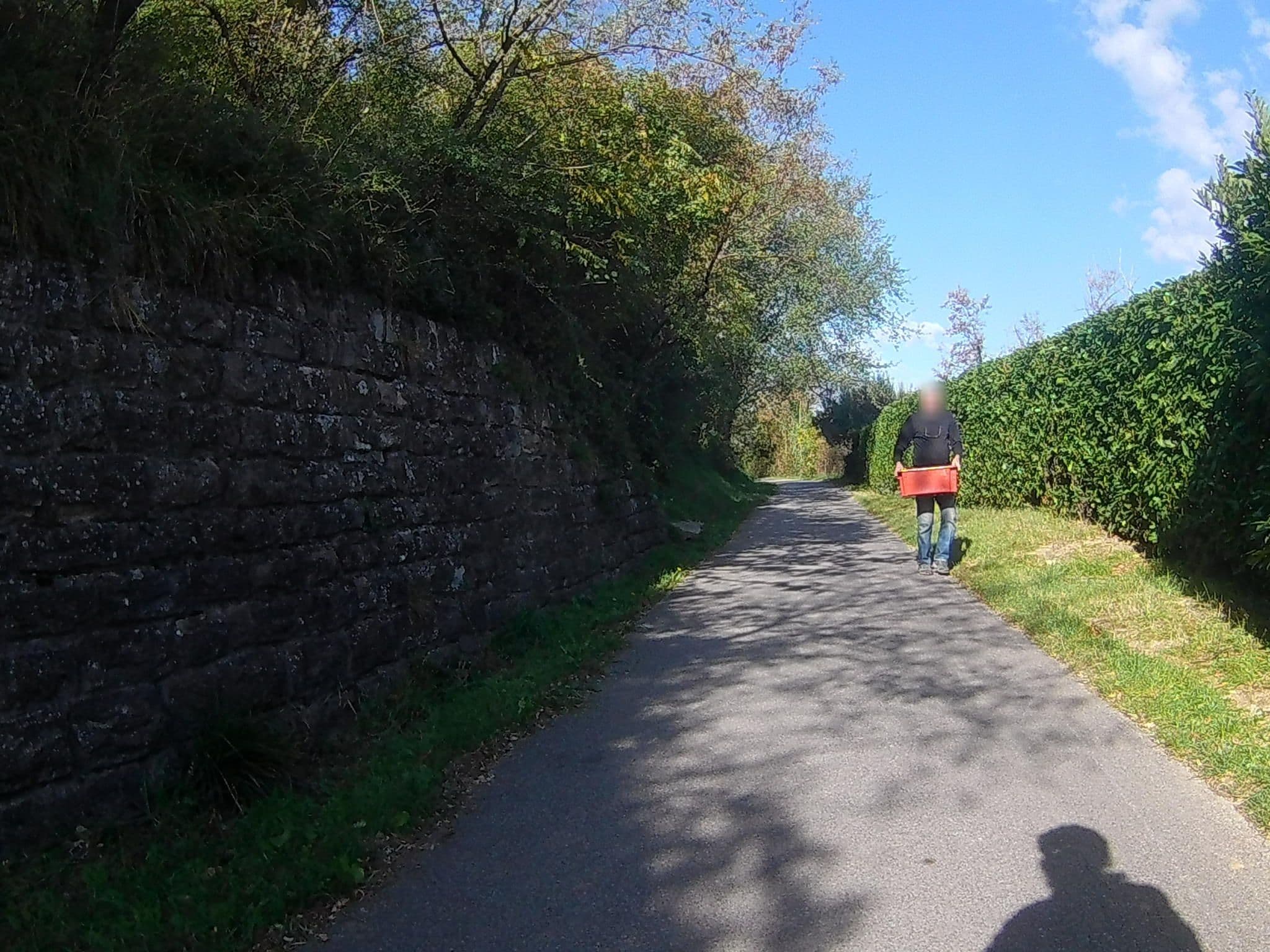 Street view near Apartmaji Breda, Jagodje — © buma (CC BY-SA · Mapillary)