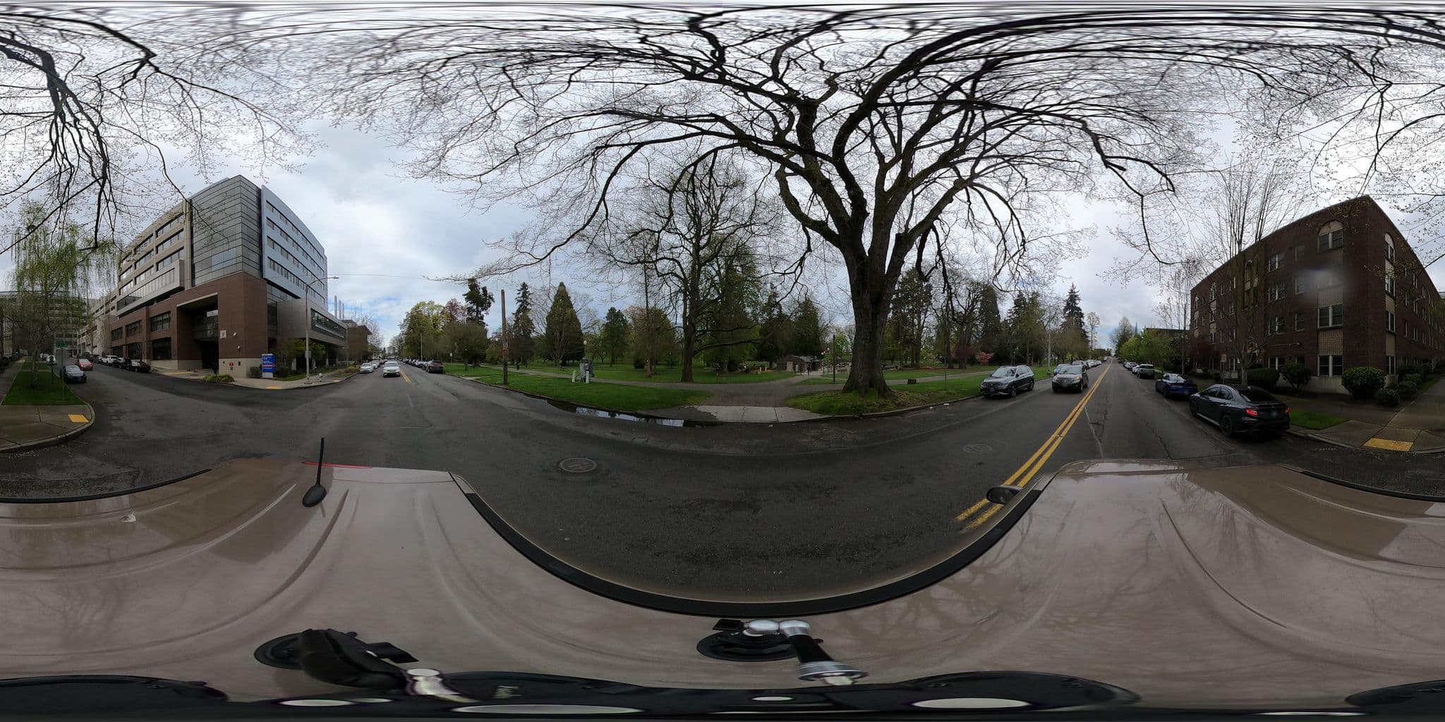 Street view near Tree House: A Place for Families, Tacoma — © LowestPotential (CC BY-SA · Mapillary)