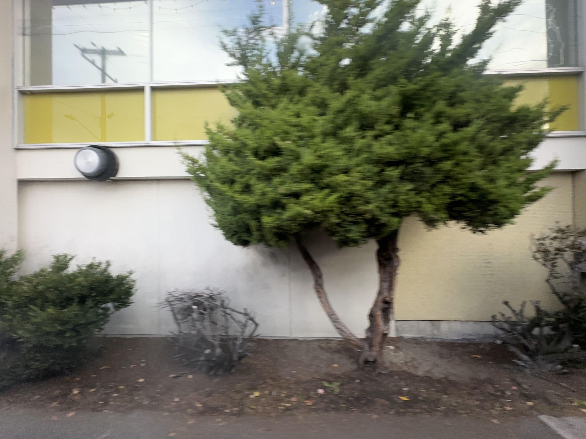 Street view near The Carriage House, White Center — © quickness805 (CC BY-SA · Mapillary)
