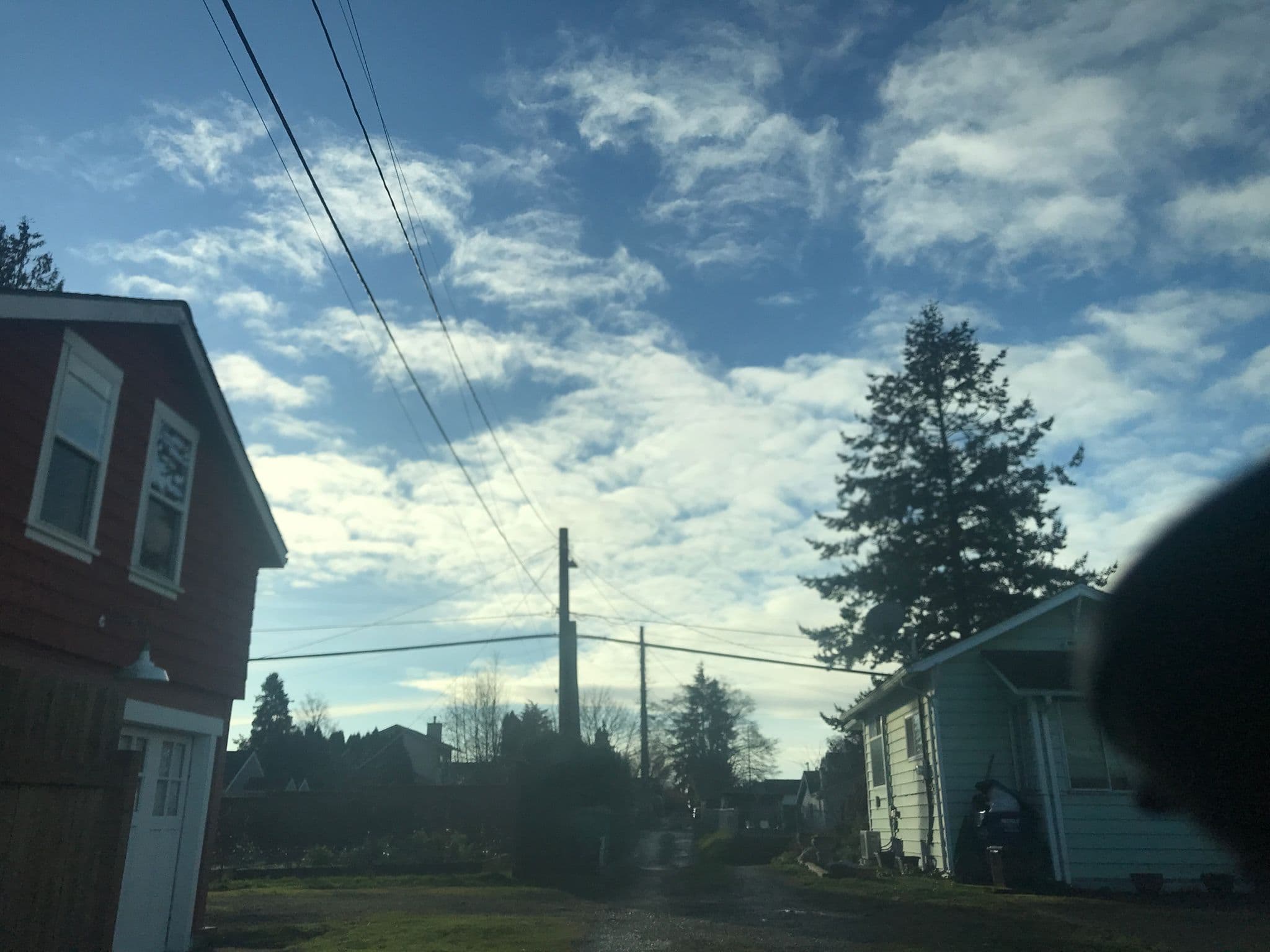 Street view near Pocket Mansions, White Center — © nickaumua (CC BY-SA · Mapillary)