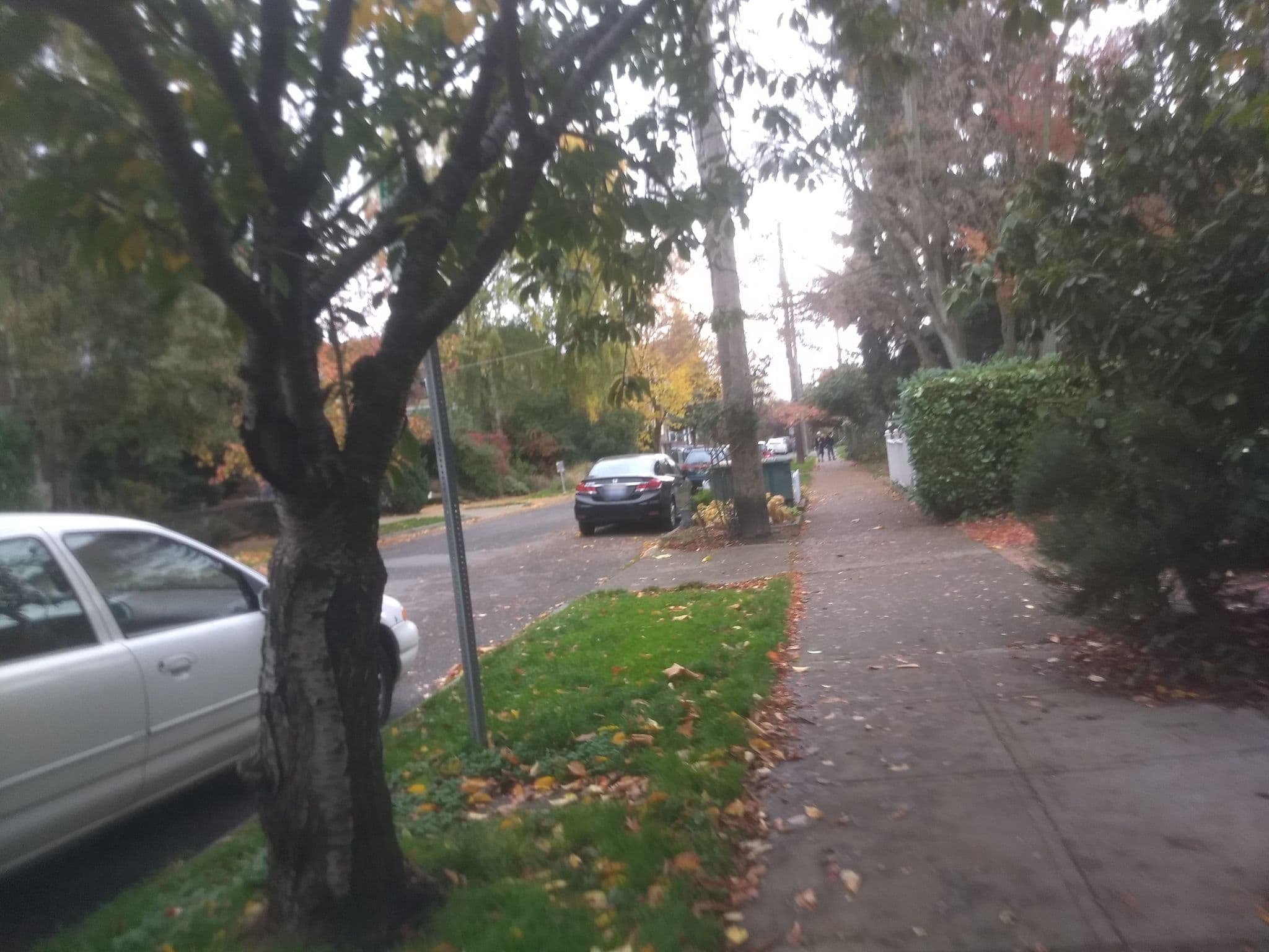 Street view near Minerva Inn, Seattle — © vgxhc (CC BY-SA · Mapillary)