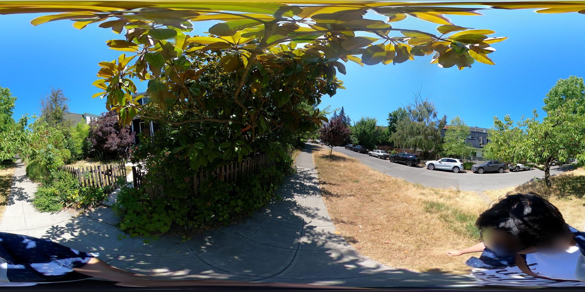 Street view near Dreampop Studio, Seattle — © kevatwork (CC BY-SA · Mapillary)