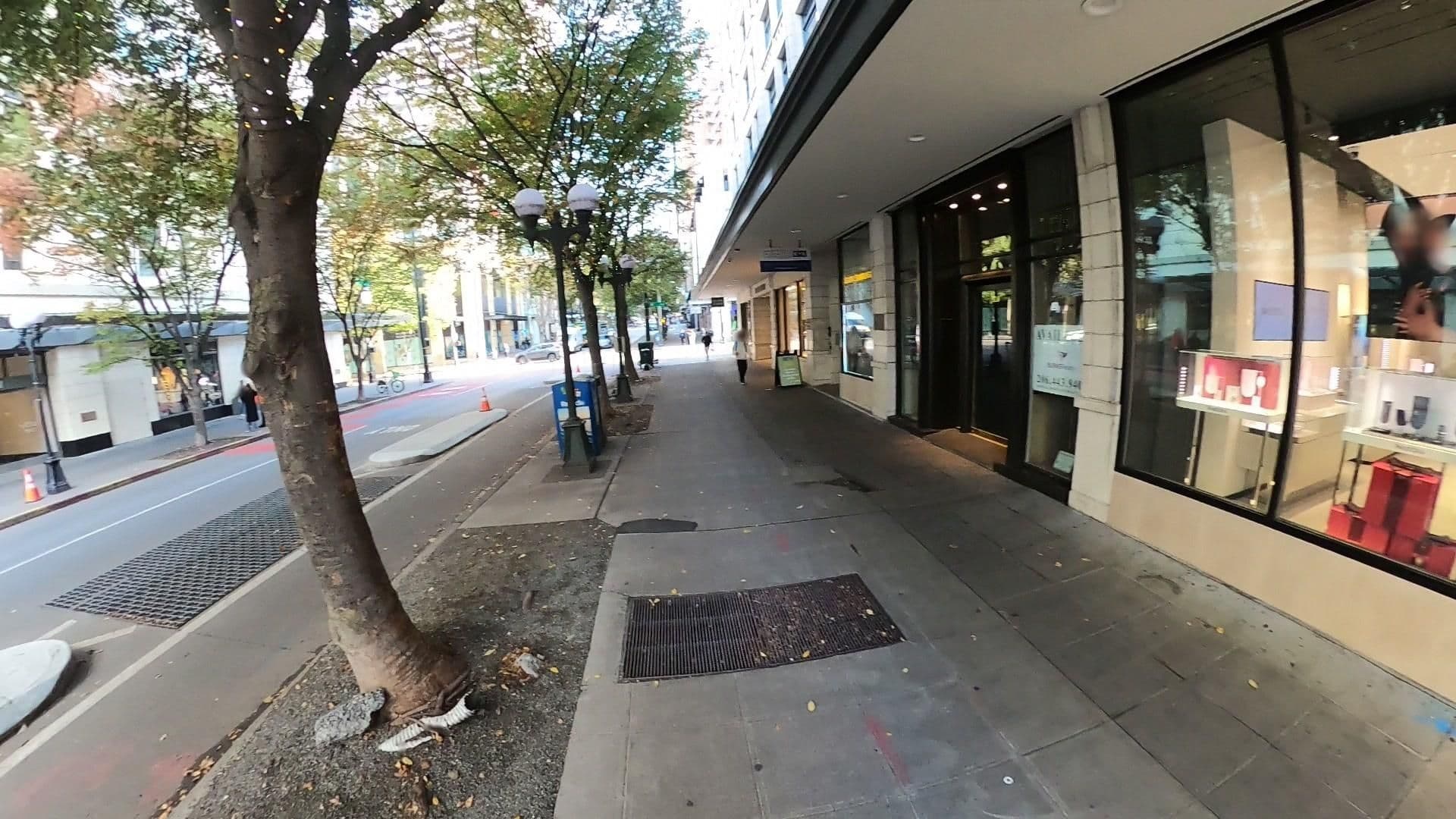 Street view near Stevens Pass Ski Resort, Seattle — © nightwatch (CC BY-SA · Mapillary)