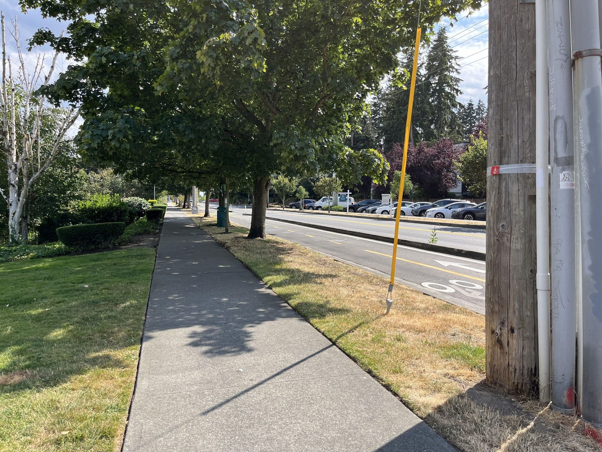 Street view near Red Lion Hotel, Shoreline — © mayaf (CC BY-SA · Mapillary)