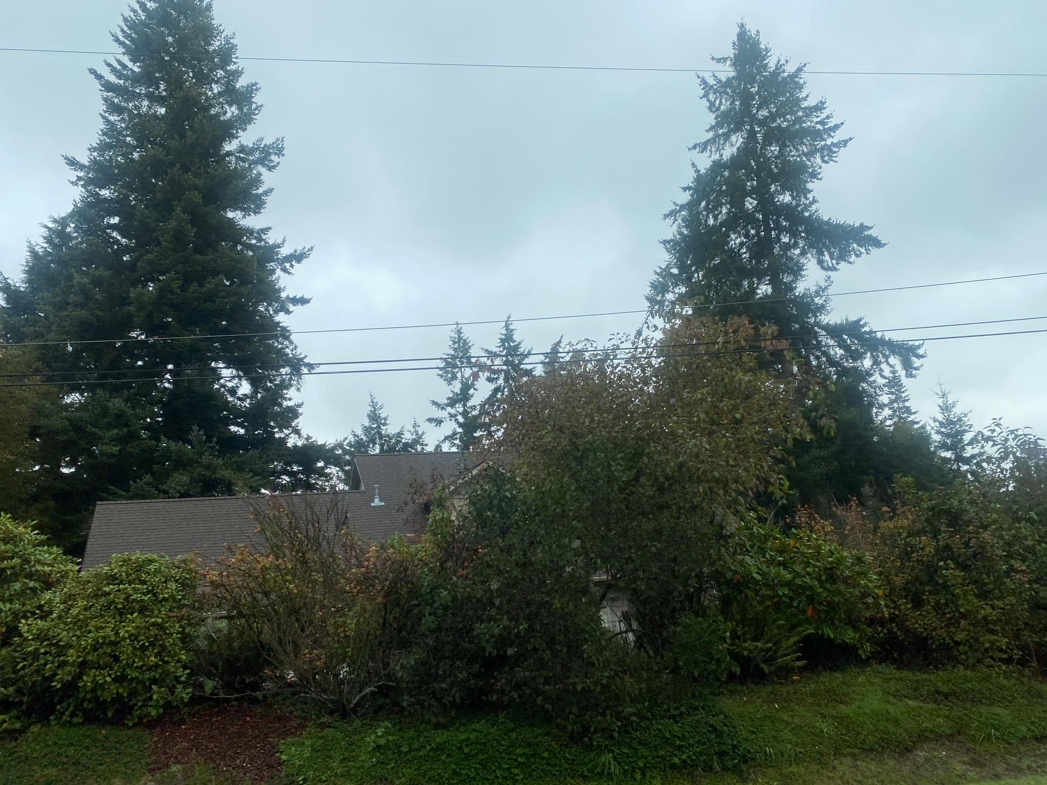 Street view near Greenbank Drive, Camano — © cmiles (CC BY-SA · Mapillary)