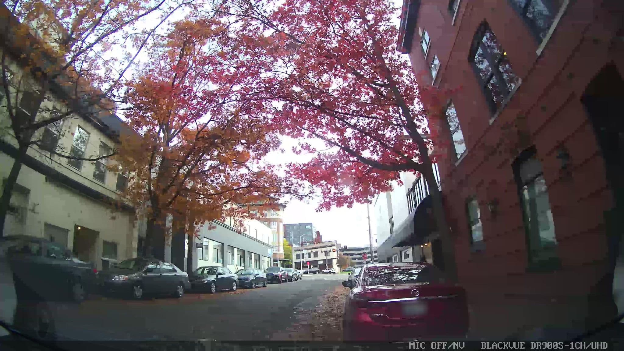 Street view near Ballard Inn, Seattle — © damnitgetmybeer (CC BY-SA · Mapillary)