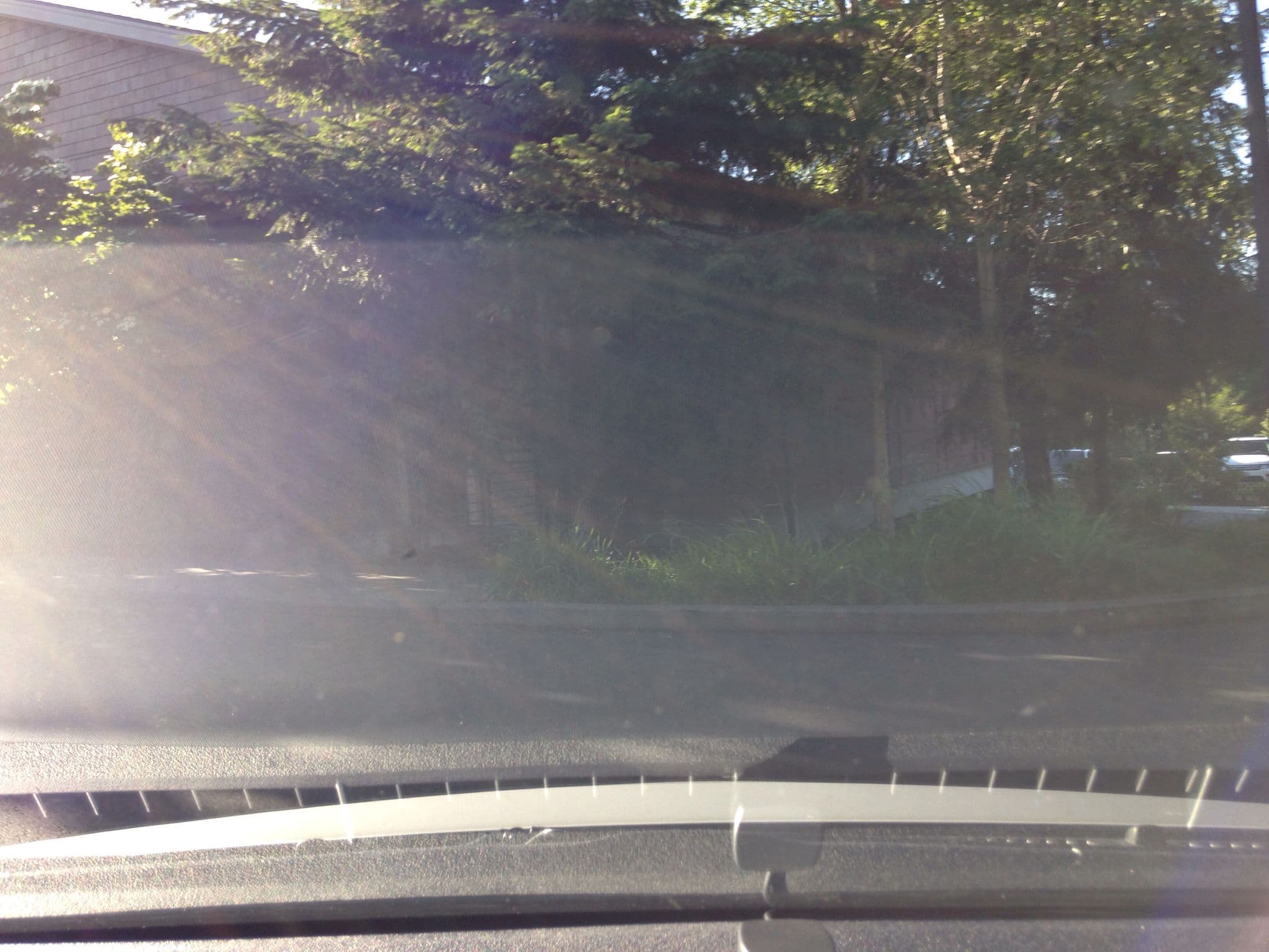 Street view near Big Cedar, SeaTac — © almccon (CC BY-SA · Mapillary)