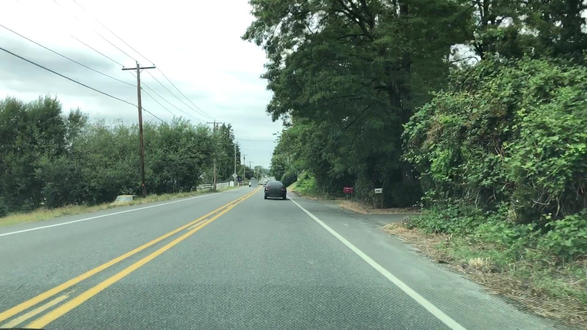 Street view near Holly Creek Farmhouse, Kingsgate — © lvl5 (CC BY-SA · Mapillary)