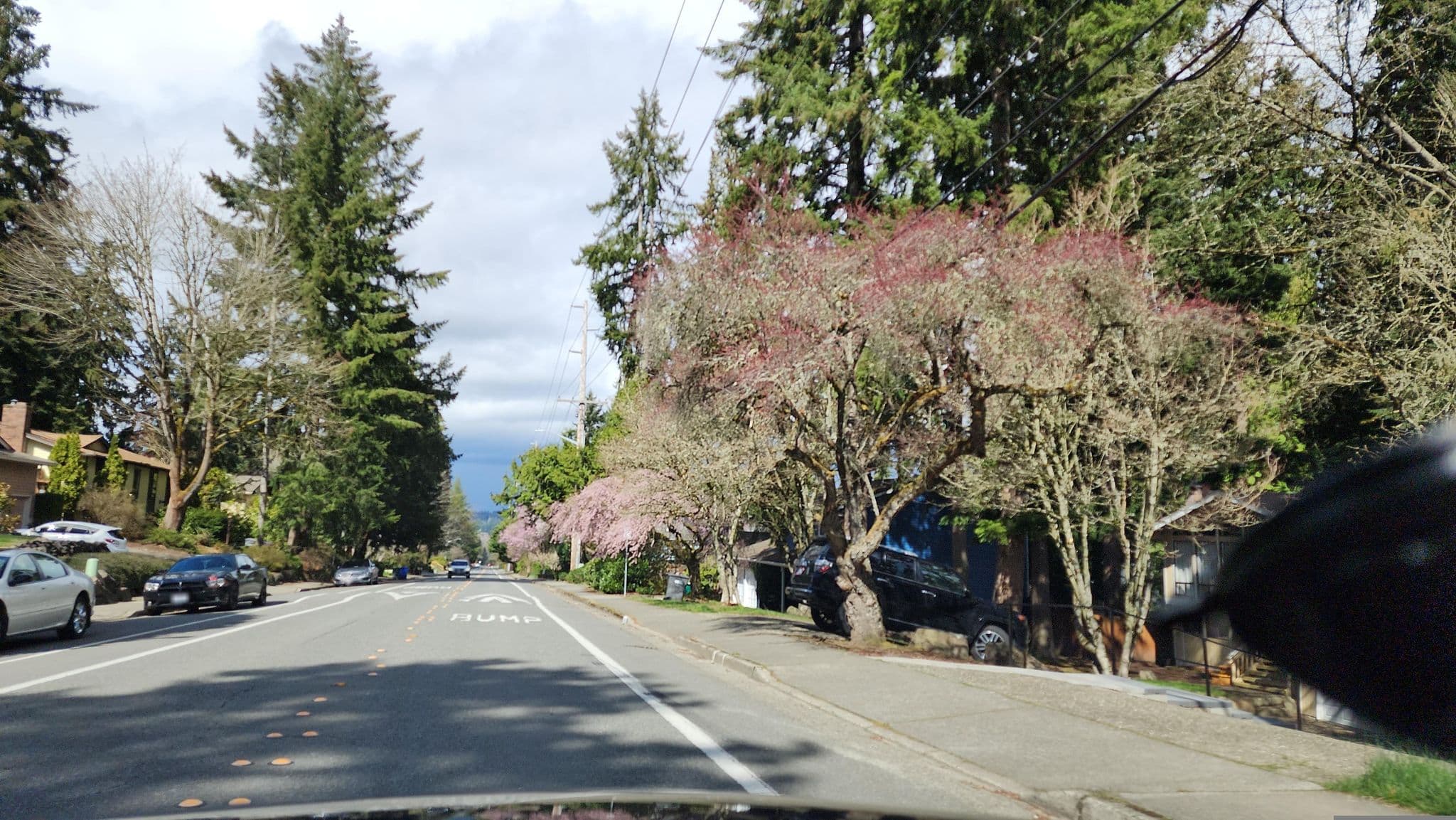 Street view near Holding Pattern II, Sammamish — © BubbleGuppies (CC BY-SA · Mapillary)