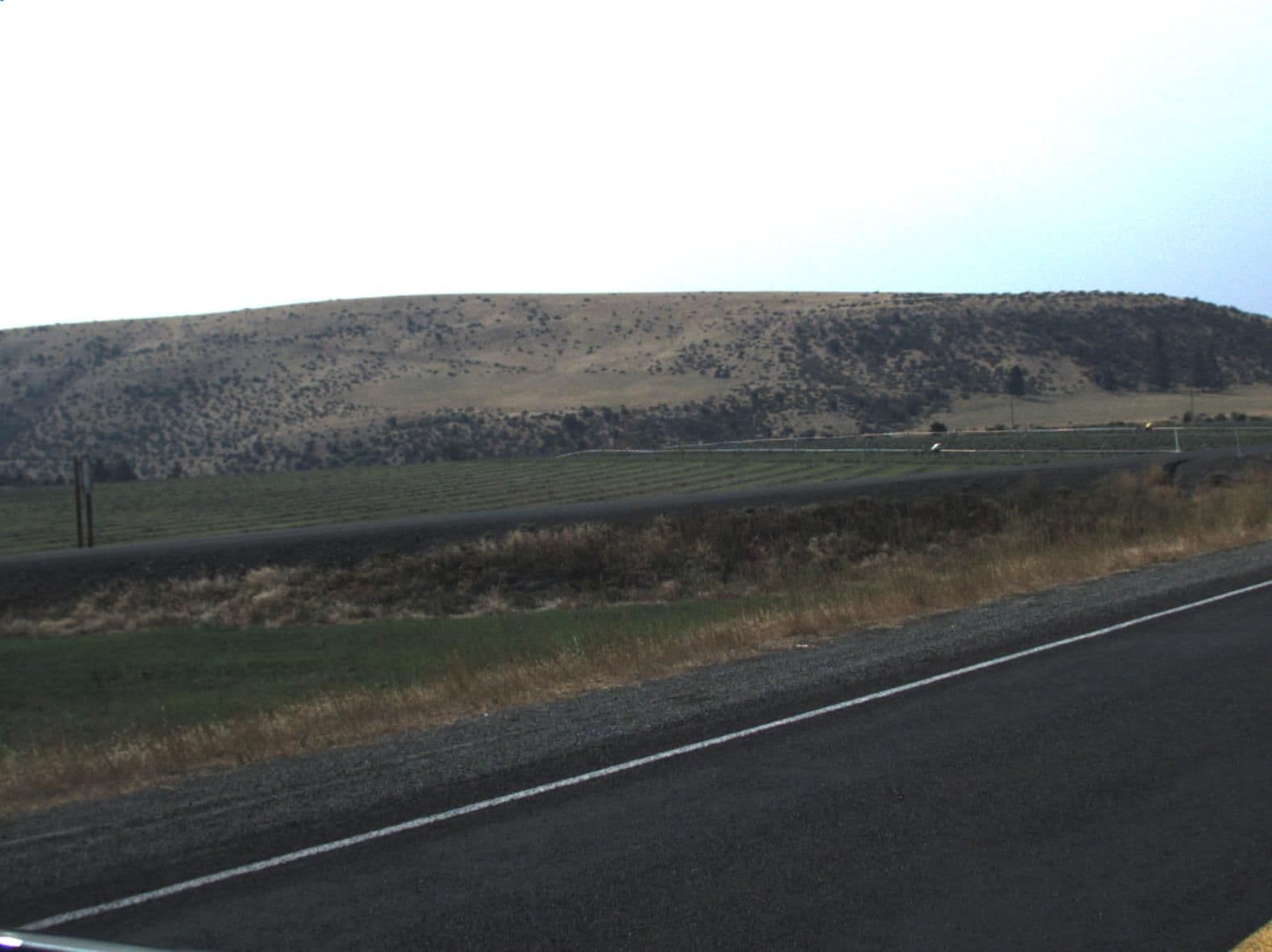 Street view near Rose Hill Farm Bed & Breakfast, Ellensburg — © jacksoe (CC BY-SA · Mapillary)