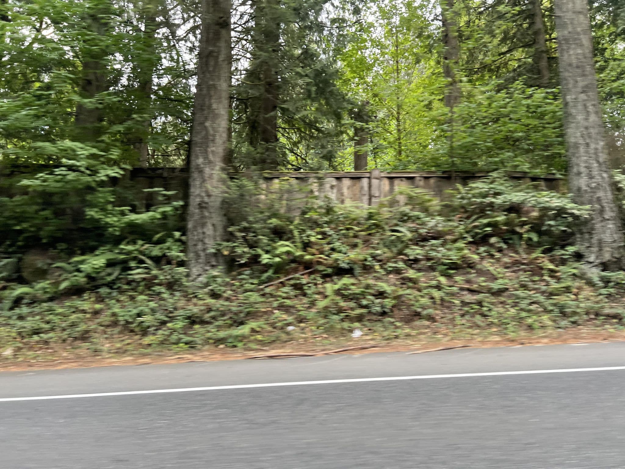 Street view near Ananda At Treehouse Poiny, Fall City — © cmiles (CC BY-SA · Mapillary)