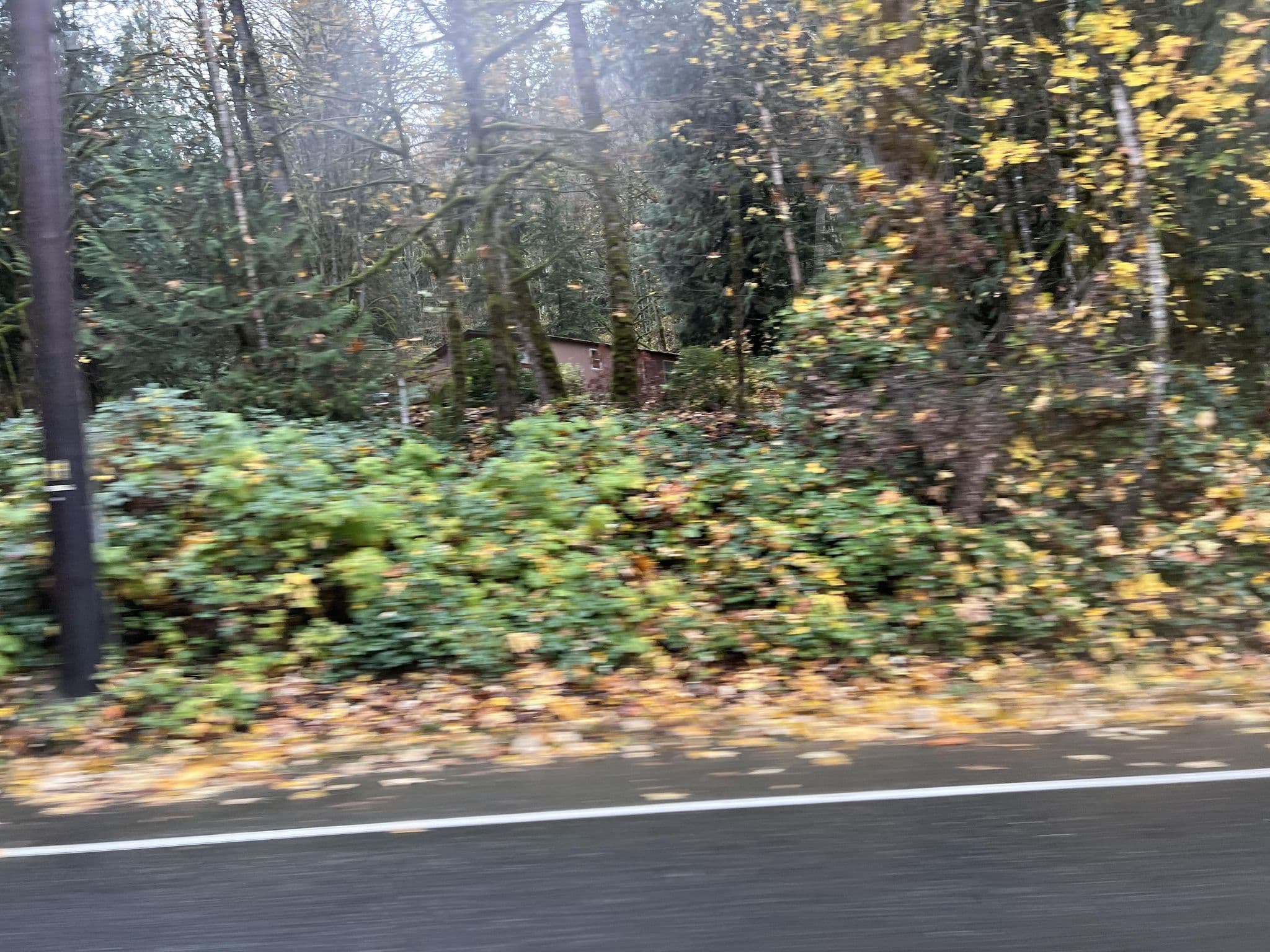 Street view near Trillium Treehouse, Fall City — © cmiles (CC BY-SA · Mapillary)