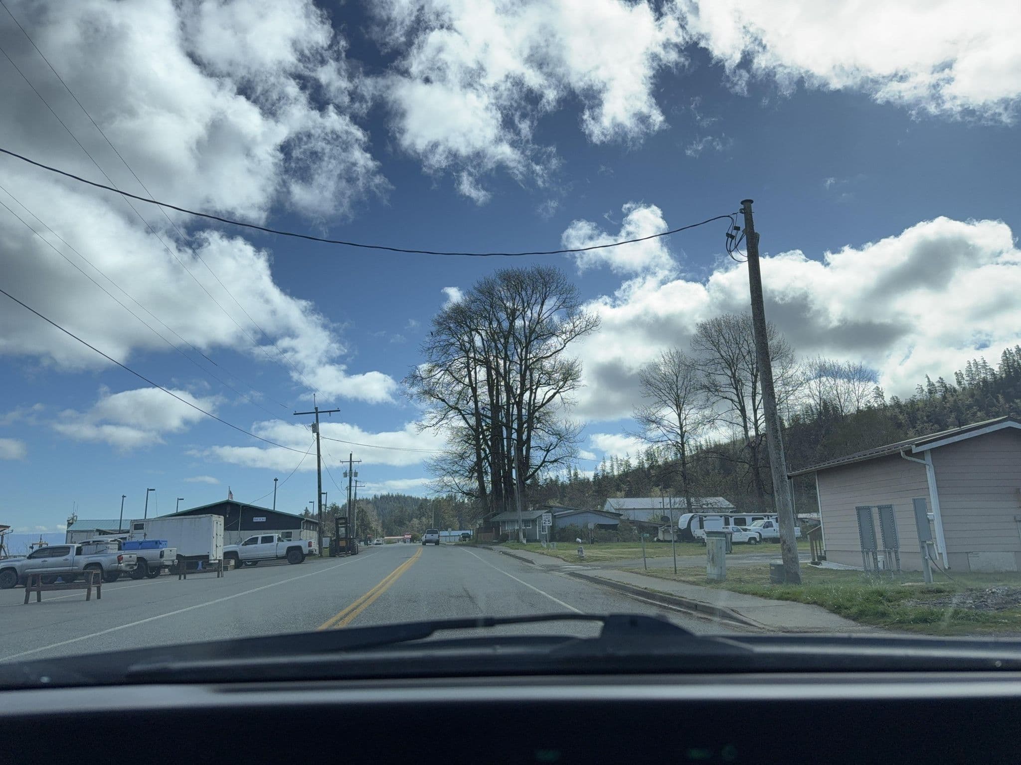 Street view near Tyee Motel, Forks — © vaniya (CC BY-SA · Mapillary)
