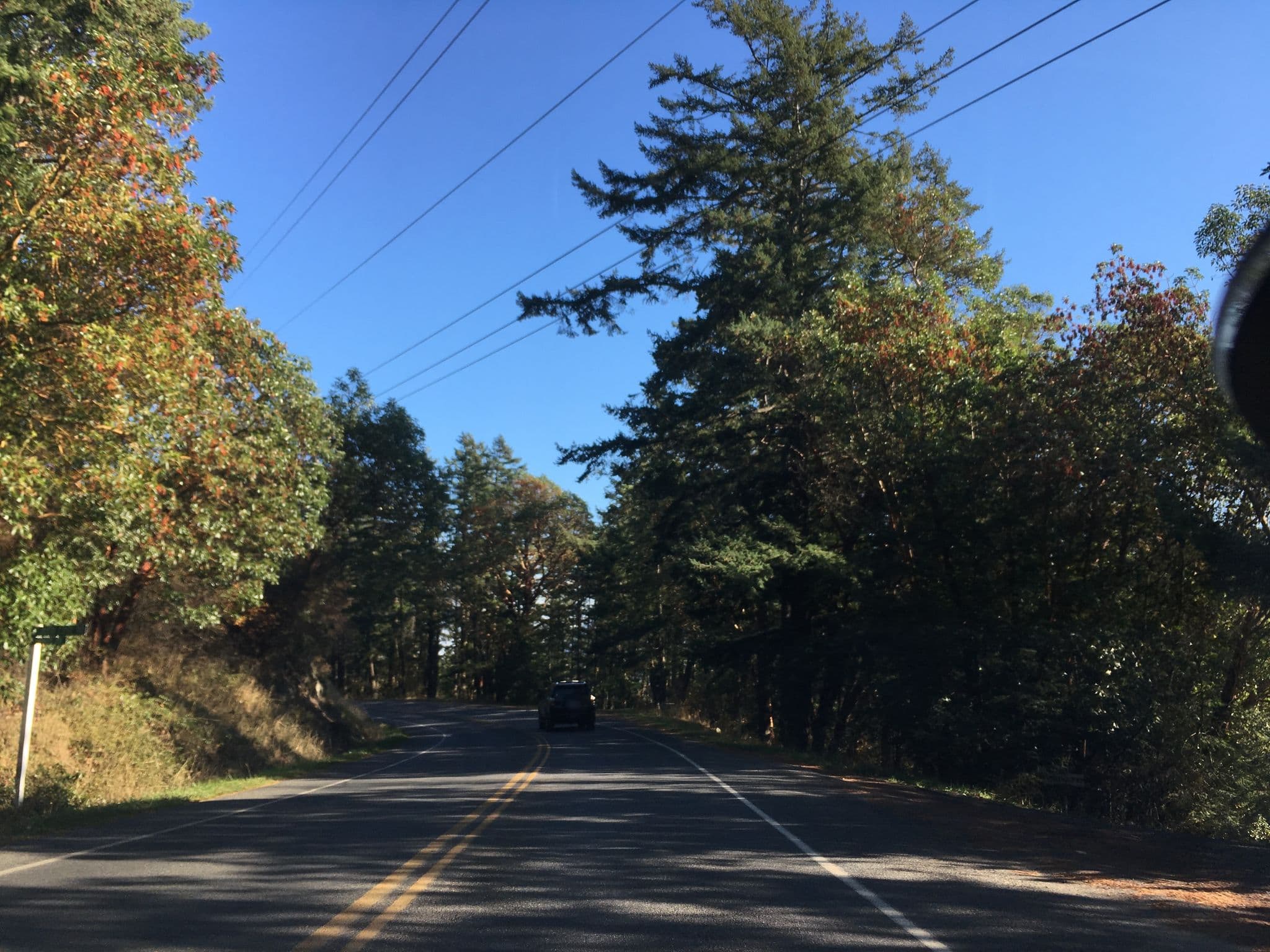 Street view near Memory Hill Guesthouse, Friday Harbor — © almccon (CC BY-SA · Mapillary)