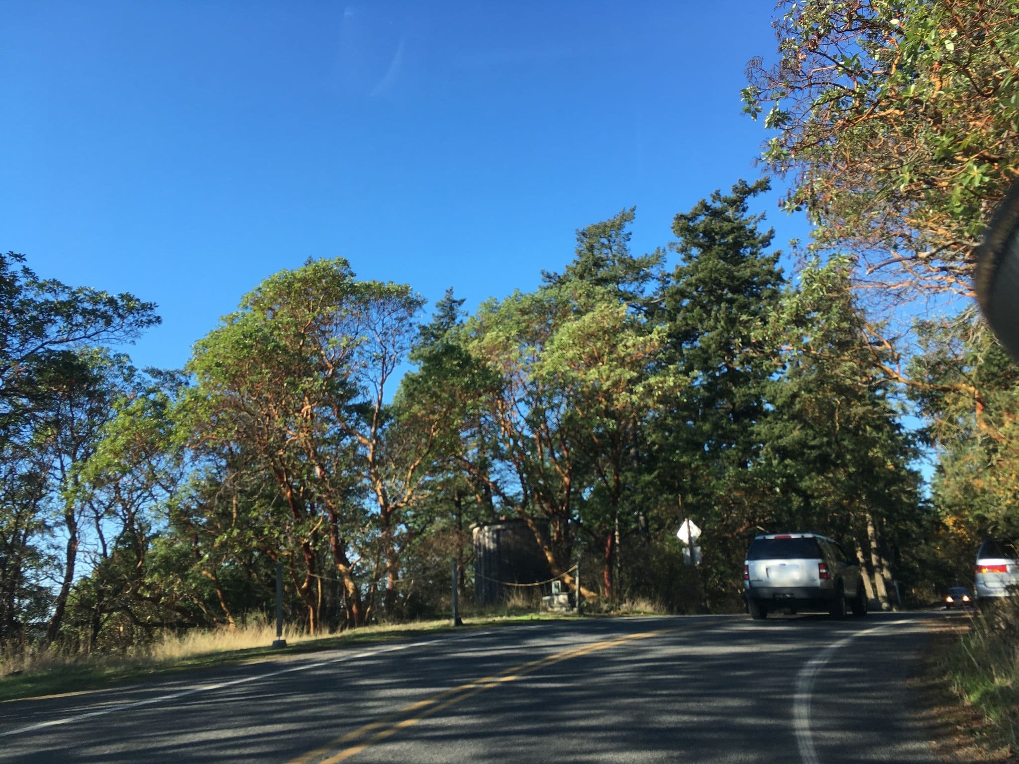Street view near Orcas Island Boardwalk, Friday Harbor — © almccon (CC BY-SA · Mapillary)