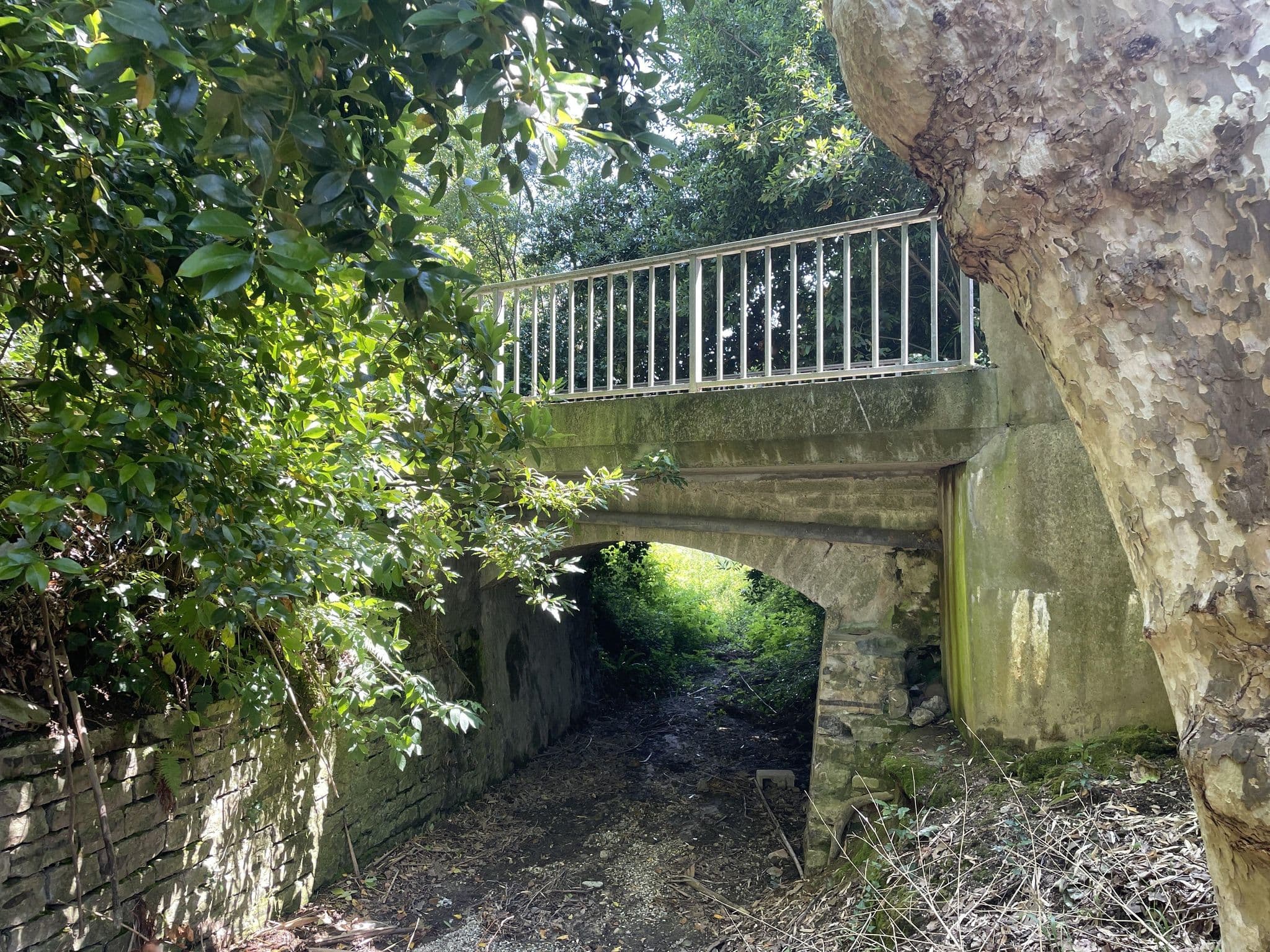 Street view near Impasse darling, Tarnos — © julessgds (CC BY-SA · Mapillary)
