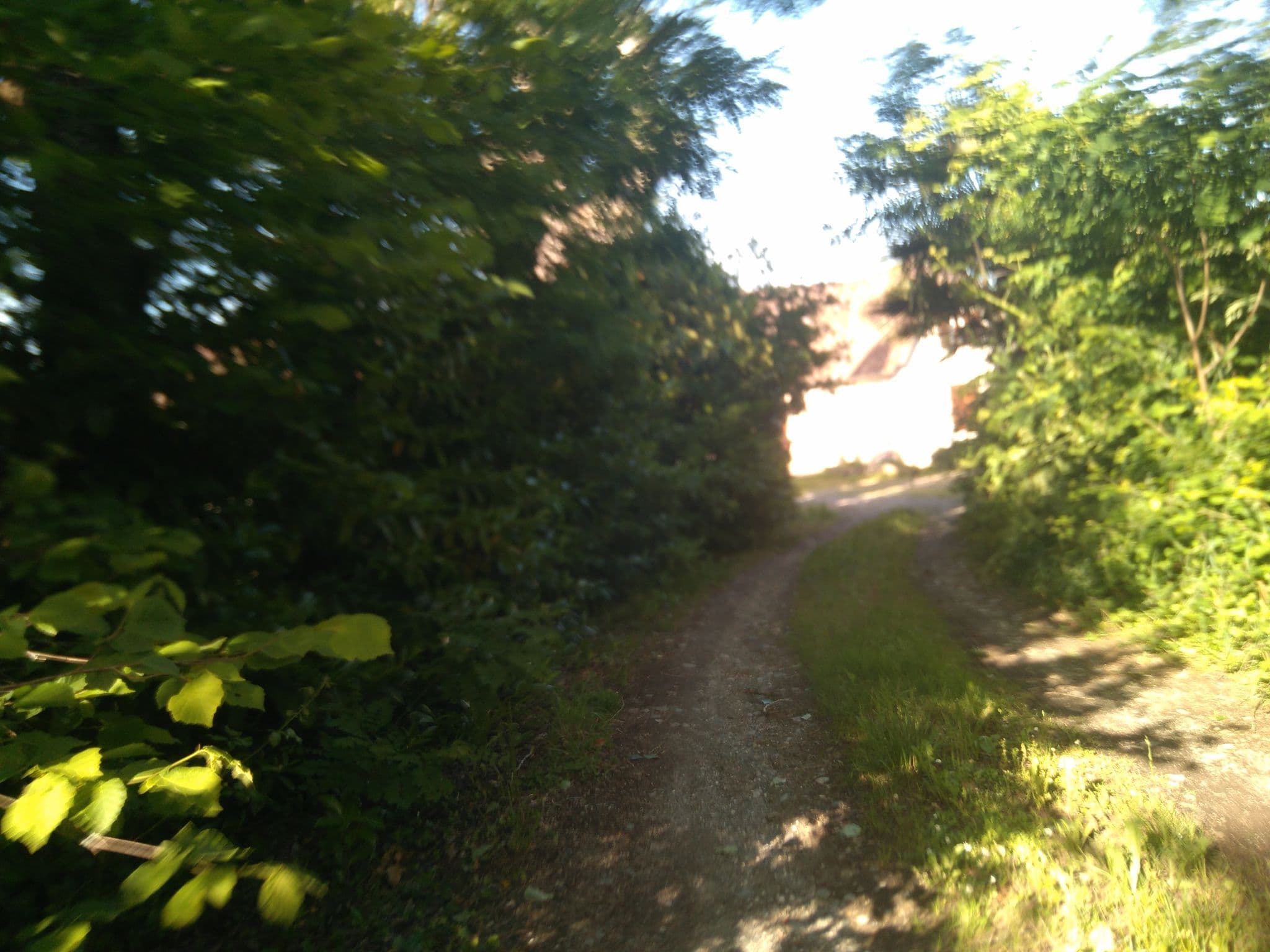 Street view near La Ferme d'Acoucoula, Orthez — © laika1 (CC BY-SA · Mapillary)
