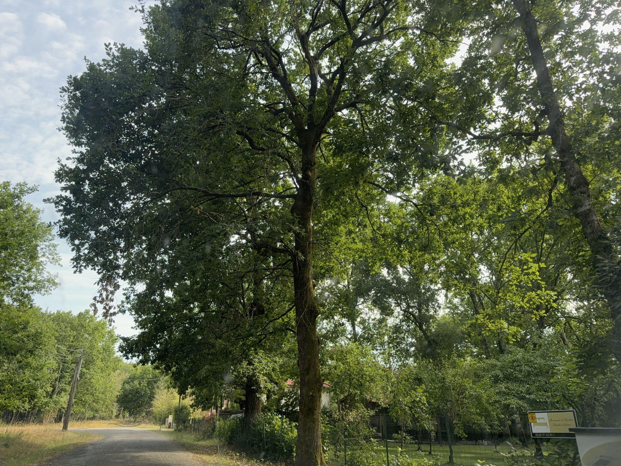 Street view near La maison de caroline, Marcheprime — © max93600 (CC BY-SA · Mapillary)