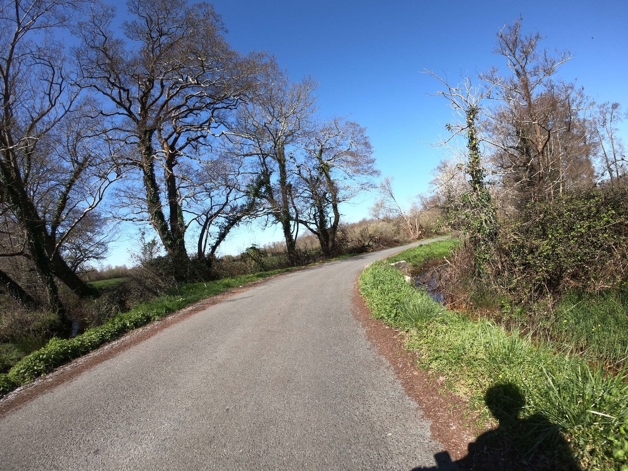 Street view near Hôtel Canin Christine Godefroy, Audenge — © gitouche (CC BY-SA · Mapillary)