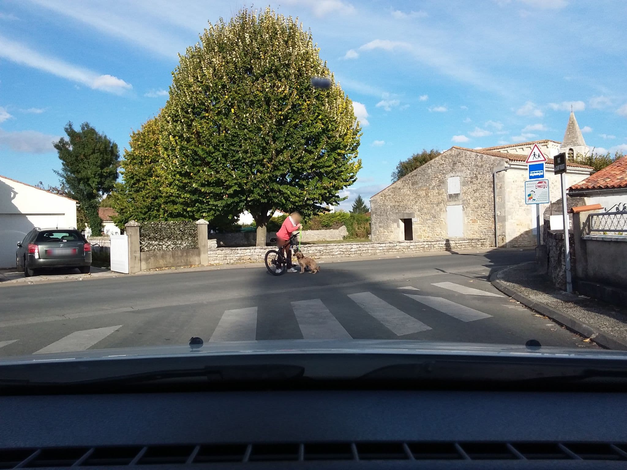 Street view near Le moulin de Pillay, Échillais — © olivierb (CC BY-SA · Mapillary)