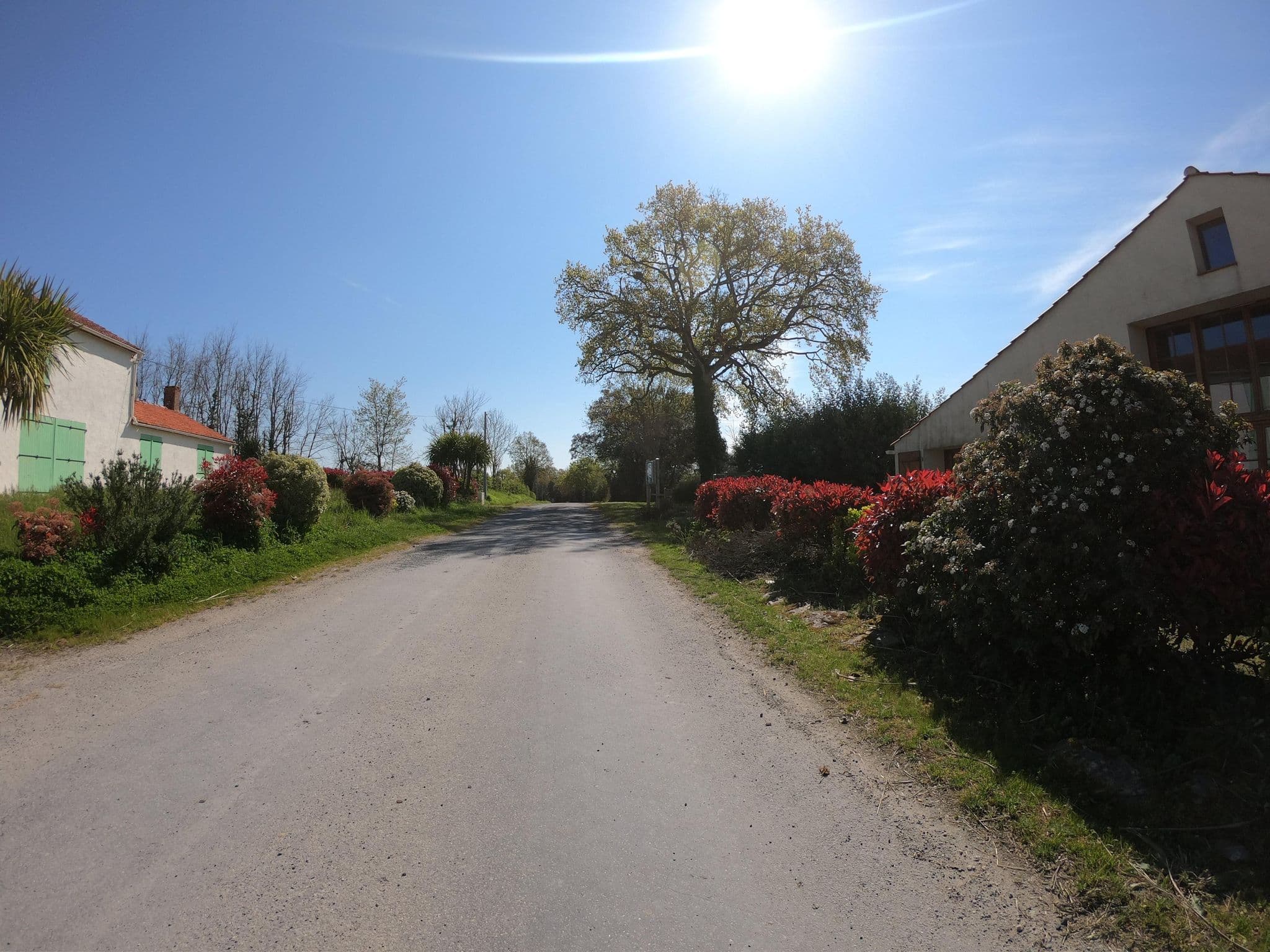Street view near Sarl Escale Vendeenne, Coëx — © cartocite (CC BY-SA · Mapillary)