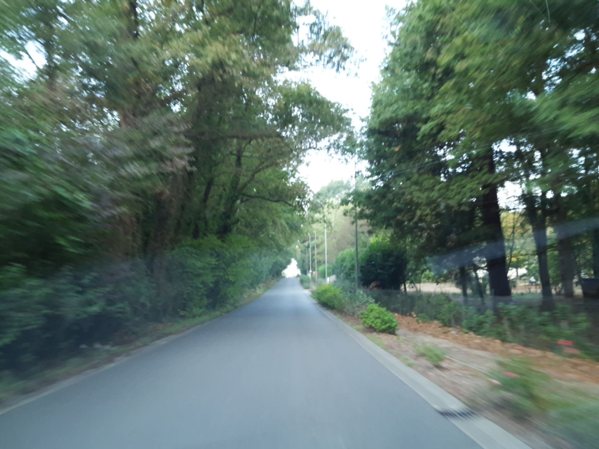 Street view near L'hetre, Basse-Goulaine — © thibphil (CC BY-SA · Mapillary)