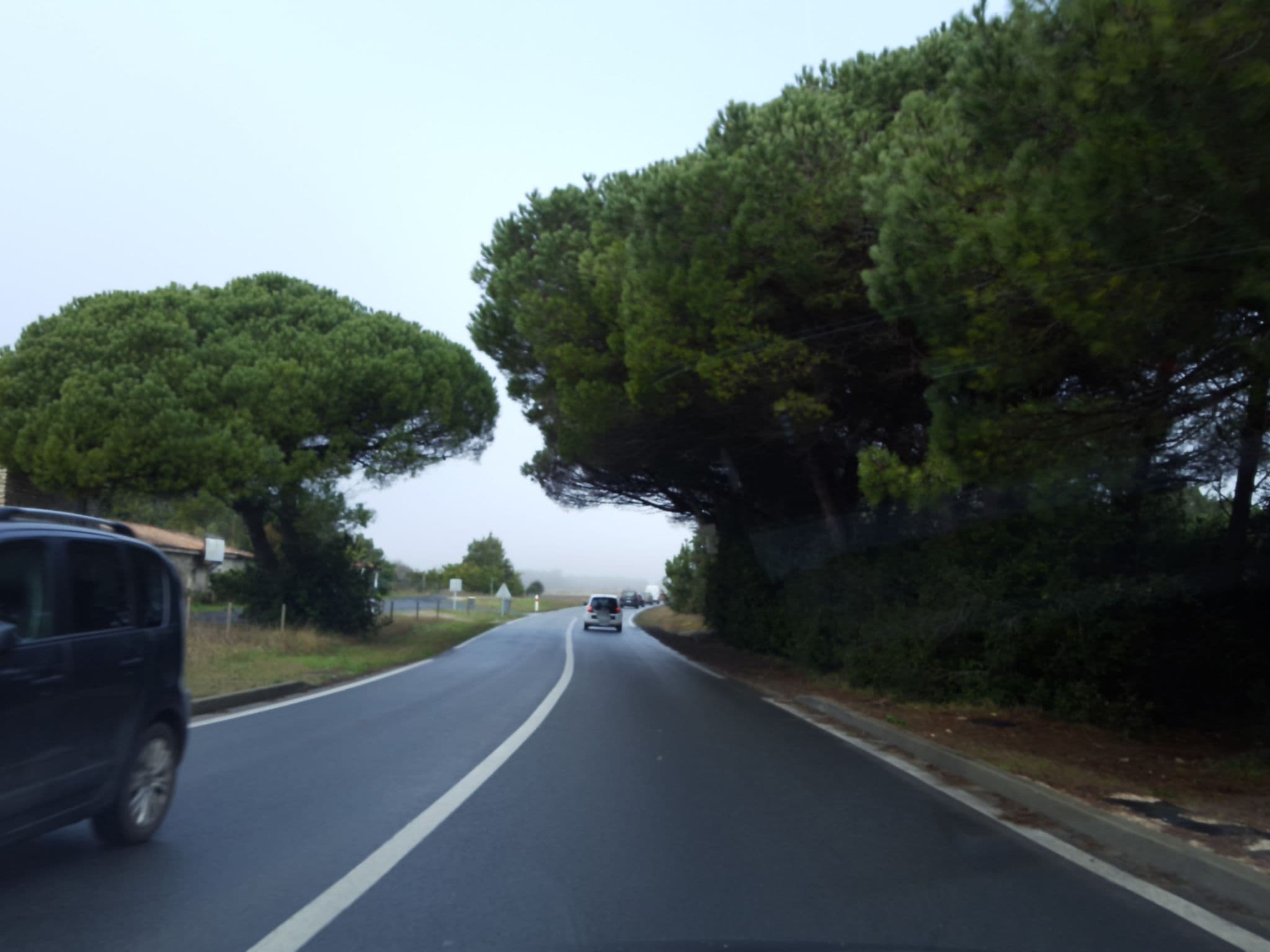 Street view near Villa Del Re, La Flotte — © thibphil (CC BY-SA · Mapillary)