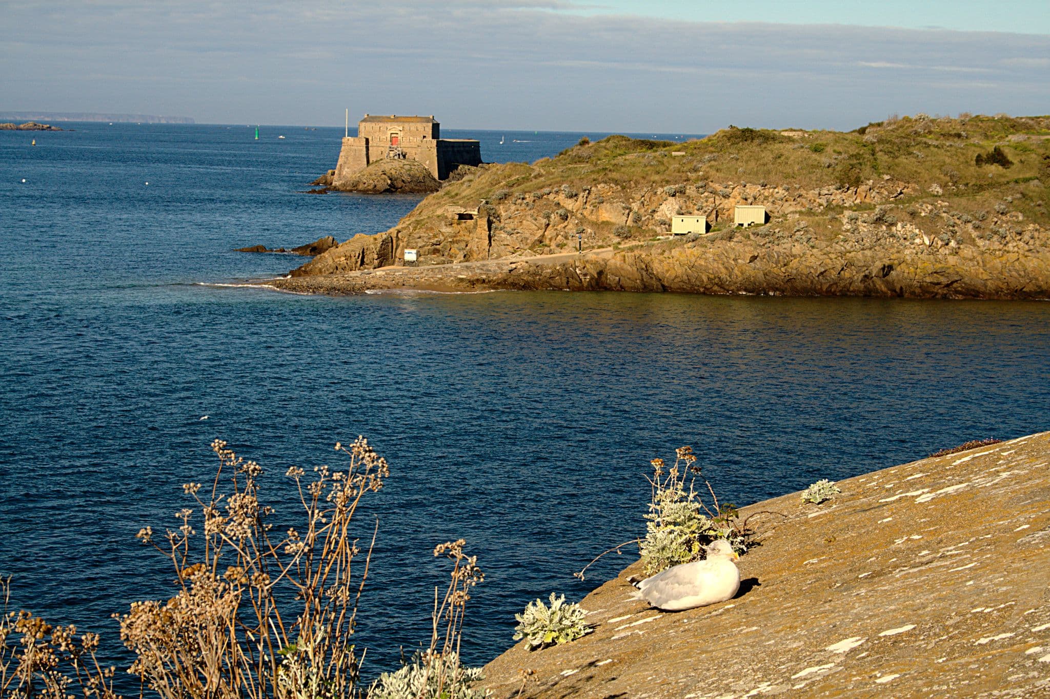 Street view near Intra Muros Vue Mer, Saint-Malo — © patrick_doux (CC BY-SA · Mapillary)