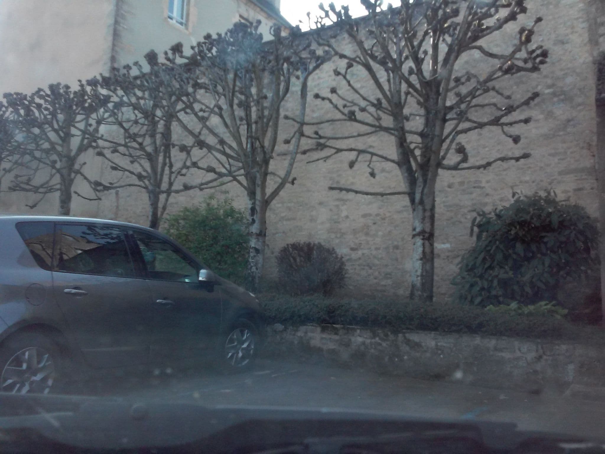 Street view near Maison de ville Bayeux, Bayeux — © pymouss (CC BY-SA · Mapillary)