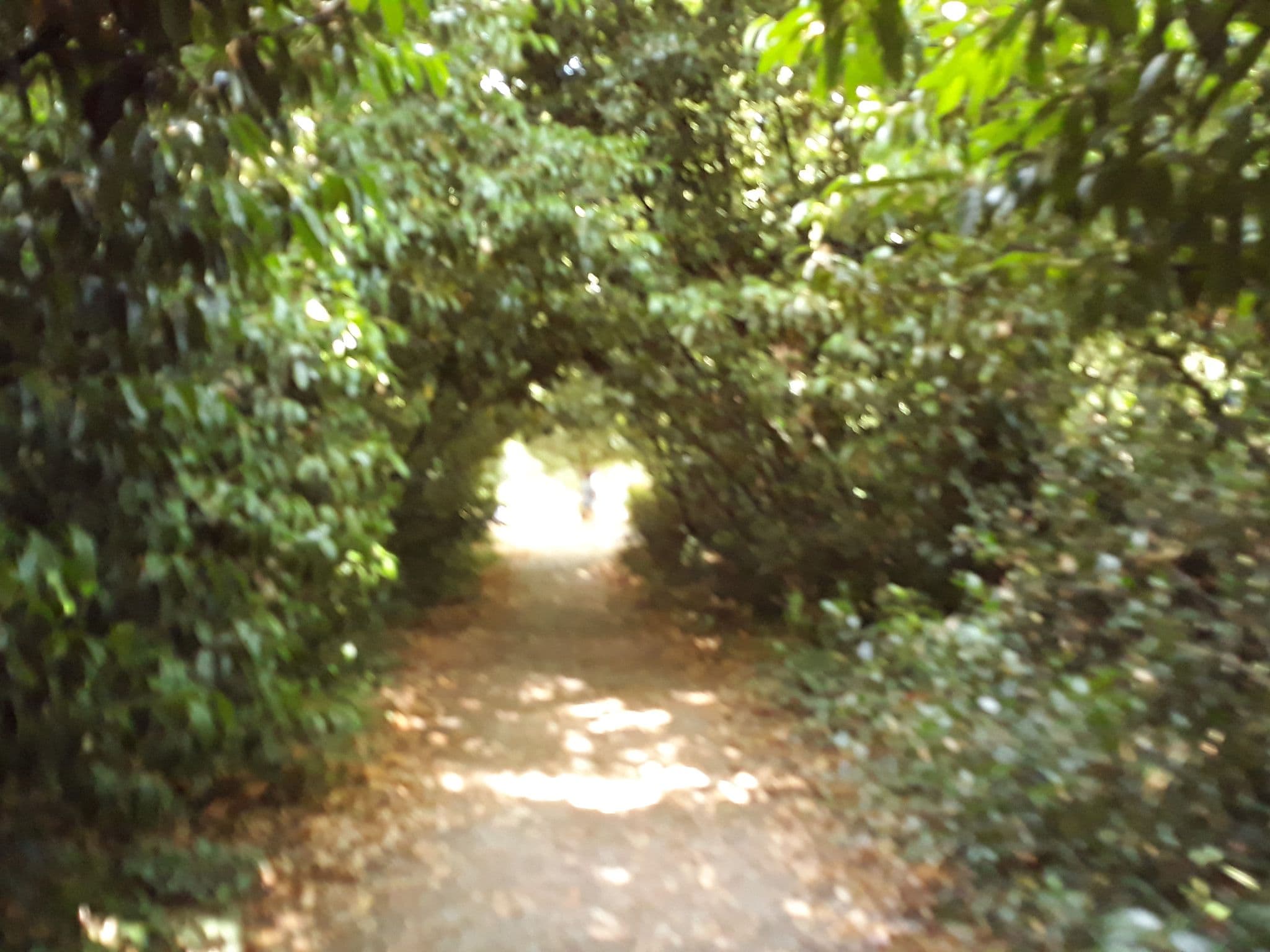 Street view near Sur Un Arbre Perche, Pons — © kobold (CC BY-SA · Mapillary)