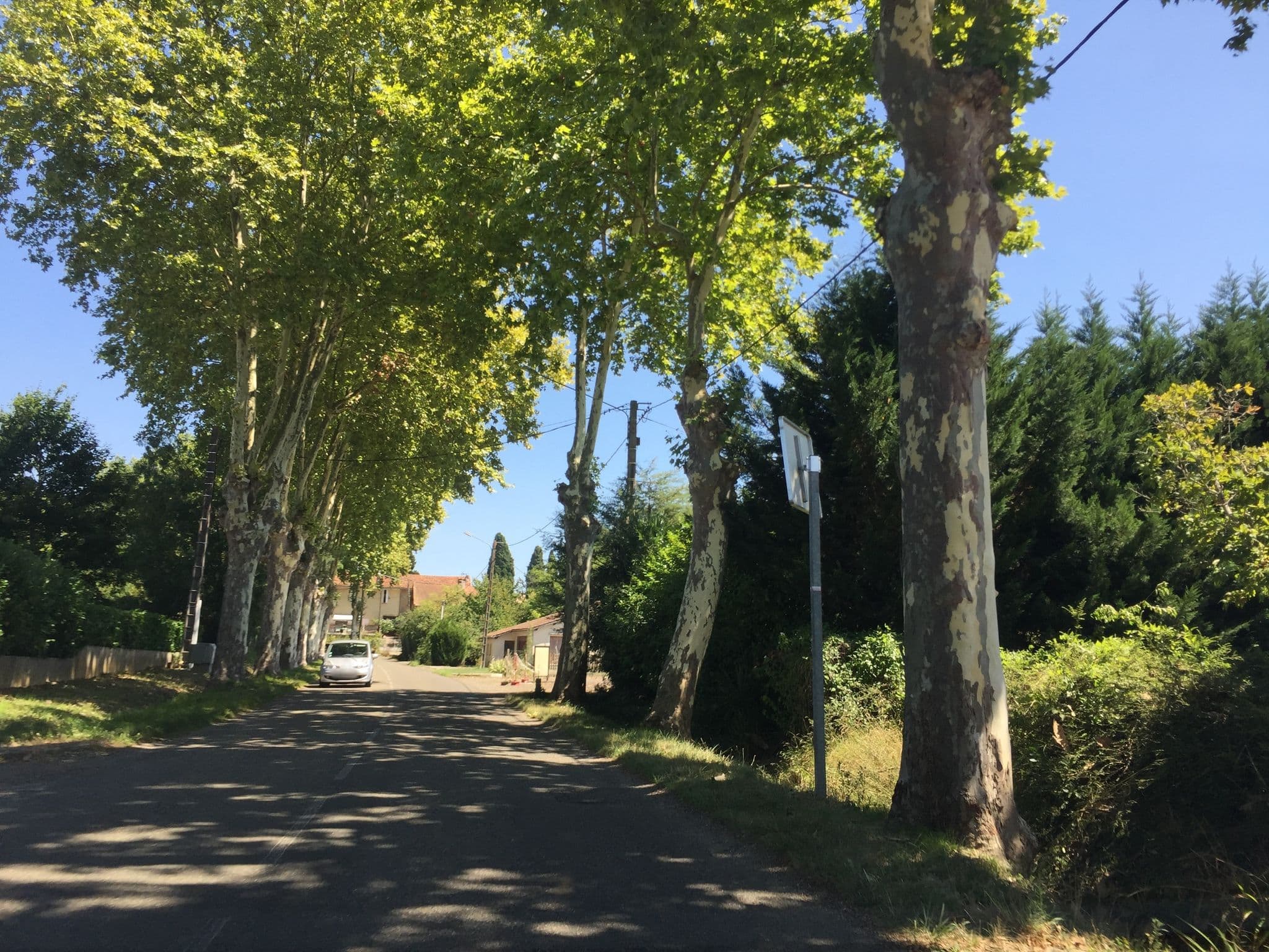 Street view near Le Castel D'Airial, Mirande — © pgiraud (CC BY-SA · Mapillary)