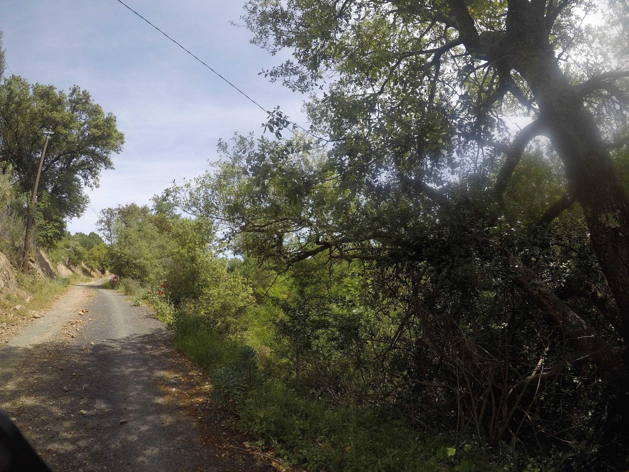 Street view near L'ancienne forge du Mas de la Fariole, Llupia — © ray66 (CC BY-SA · Mapillary)