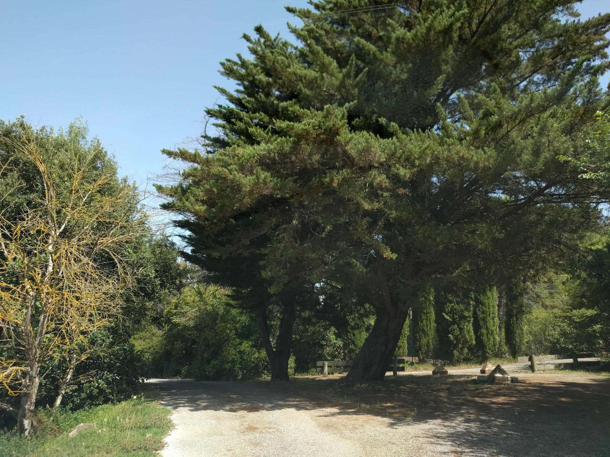 Street view near La maison sur la colline, Cazilhac — © mappy_sa (CC BY-SA · Mapillary)