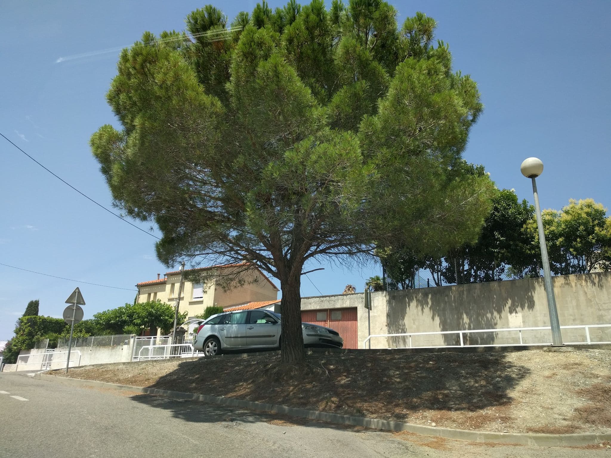 Street view near B&B Domaine de Fontète, Palaja — © mappy_sa (CC BY-SA · Mapillary)