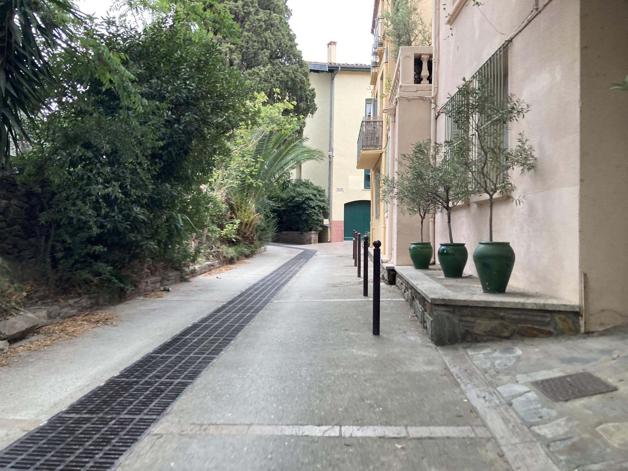 Street view near Studio, Collioure — © maxm64 (CC BY-SA · Mapillary)