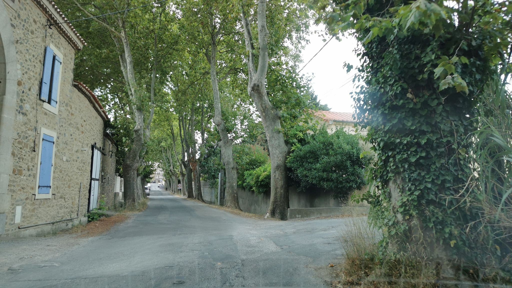 Street view near Domaine du Puits es Pratx, Ginestas — © percherie (CC BY-SA · Mapillary)