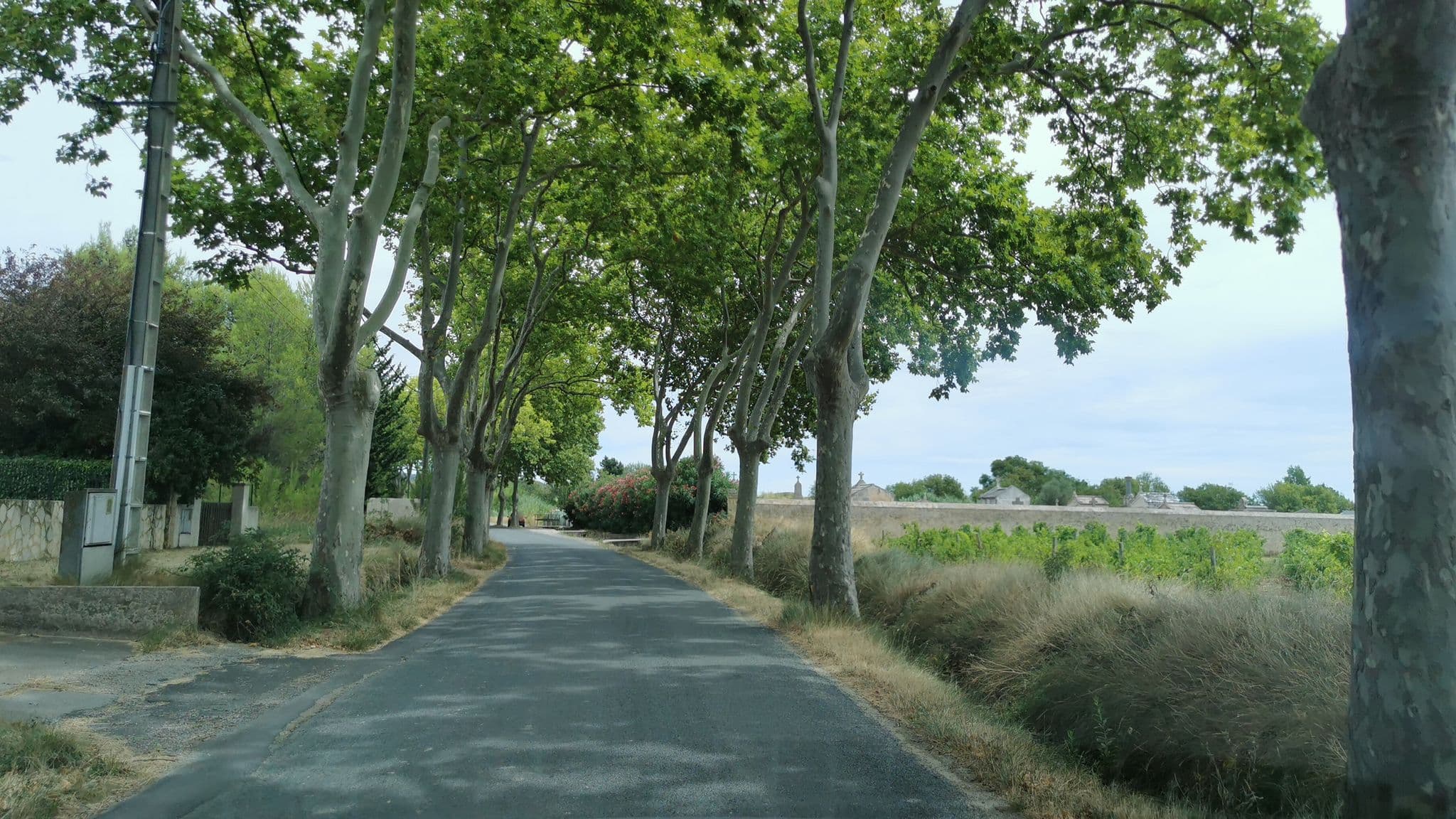 Street view near O Campement des Possibles, Bize-Minervois — © percherie (CC BY-SA · Mapillary)