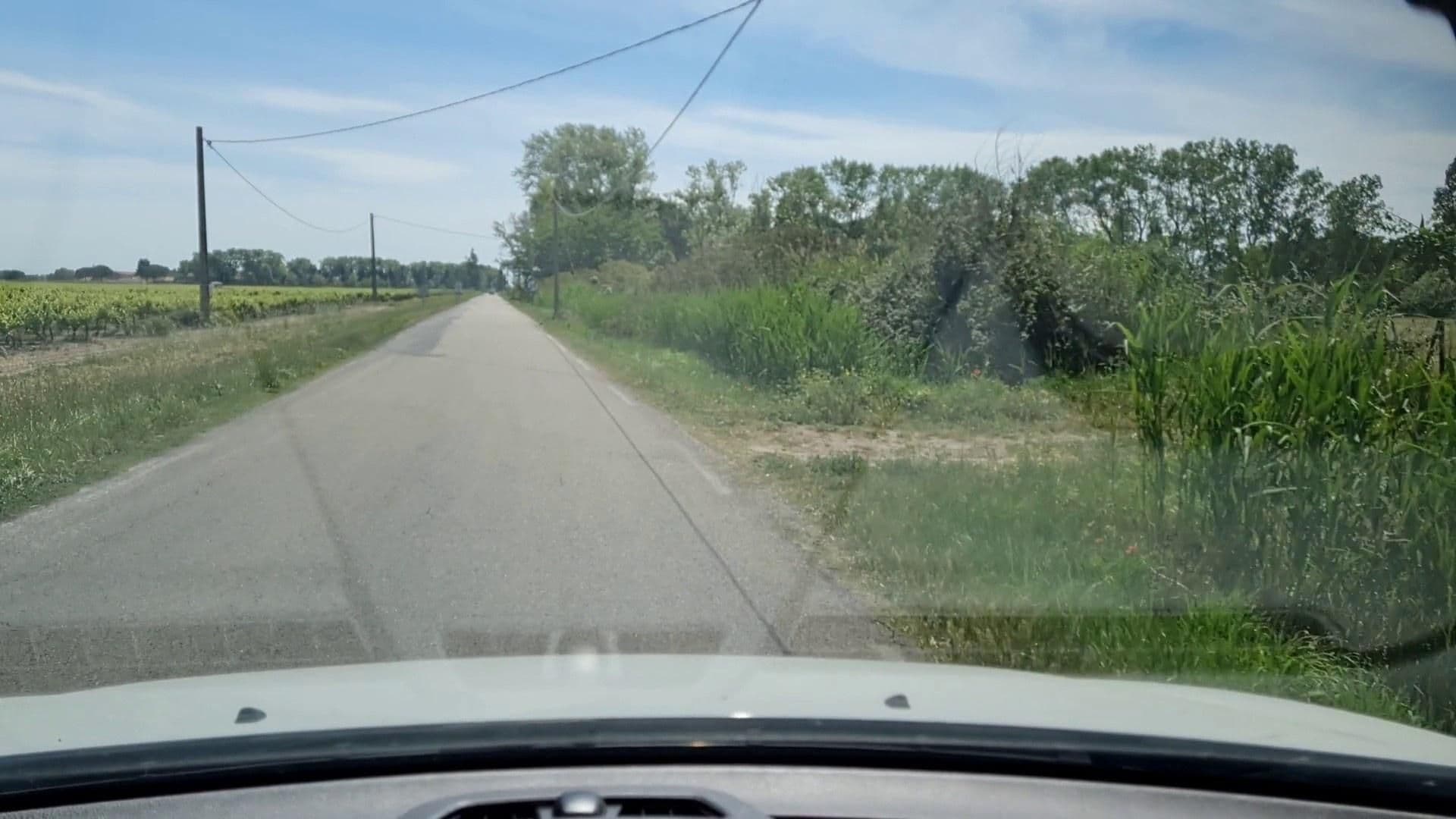 Street view near Manade Saint-Louis, Aigues-Mortes — © si3p0 (CC BY-SA · Mapillary)