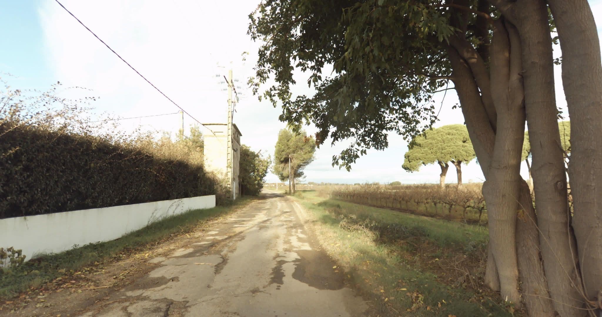 Street view near Mas Tarquin, Aigues-Mortes — © sogefi (CC BY-SA · Mapillary)