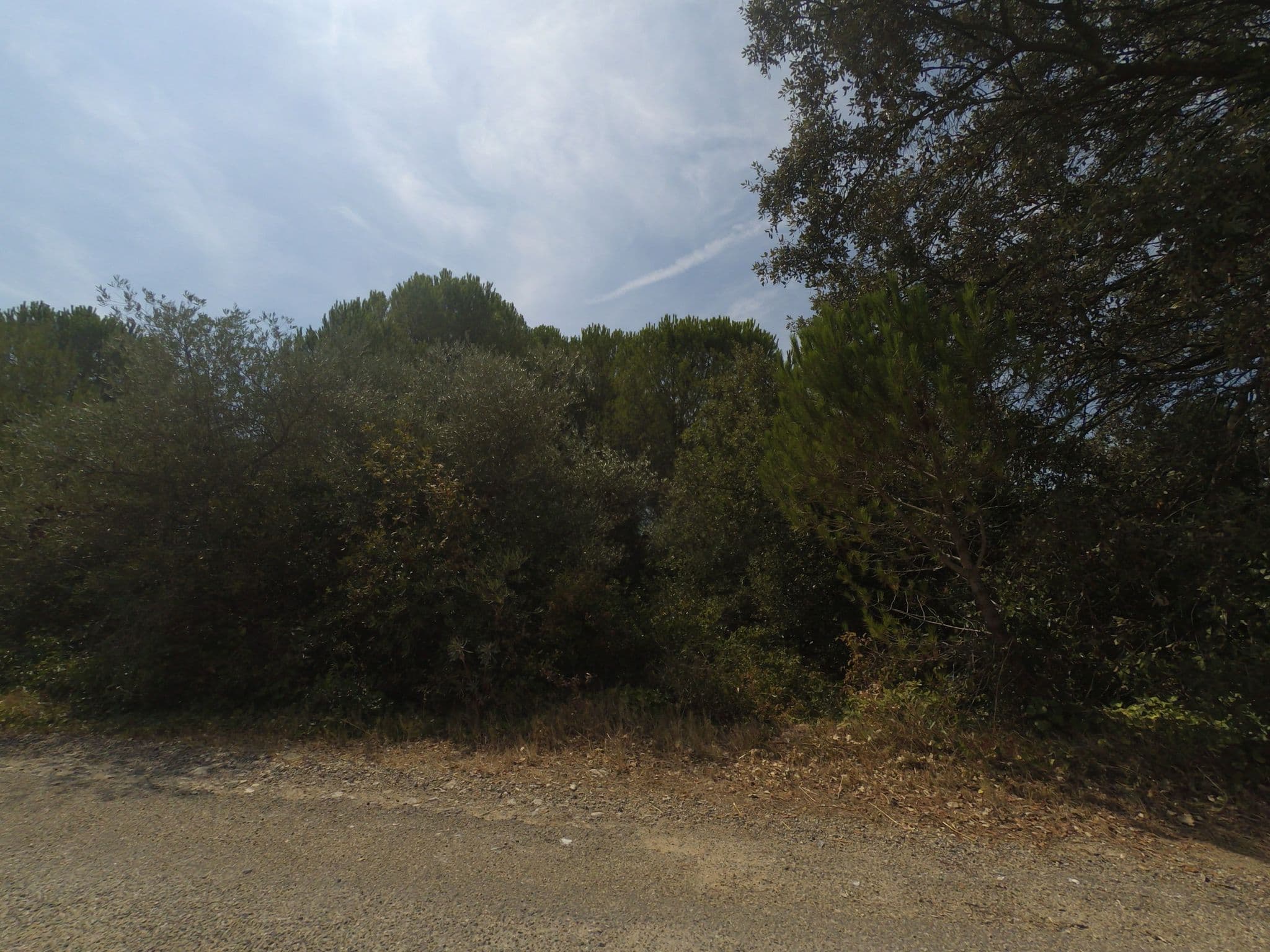 Street view near Le Mazet de Vallongue, Aubais — © balooval (CC BY-SA · Mapillary)