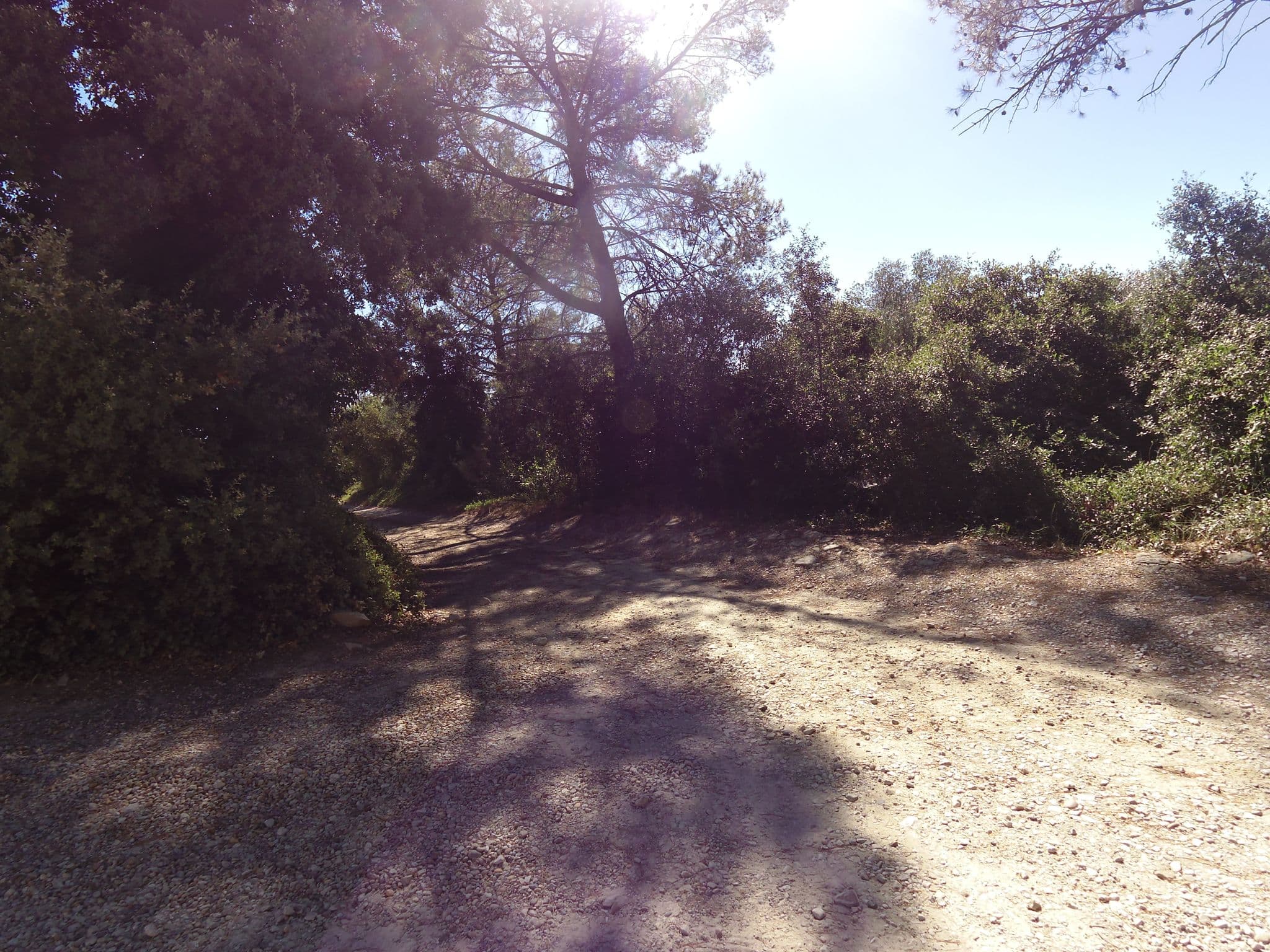 Street view near Le Jardin Des Chats - Hôtel Pour Chats, Aubais — © balooval (CC BY-SA · Mapillary)