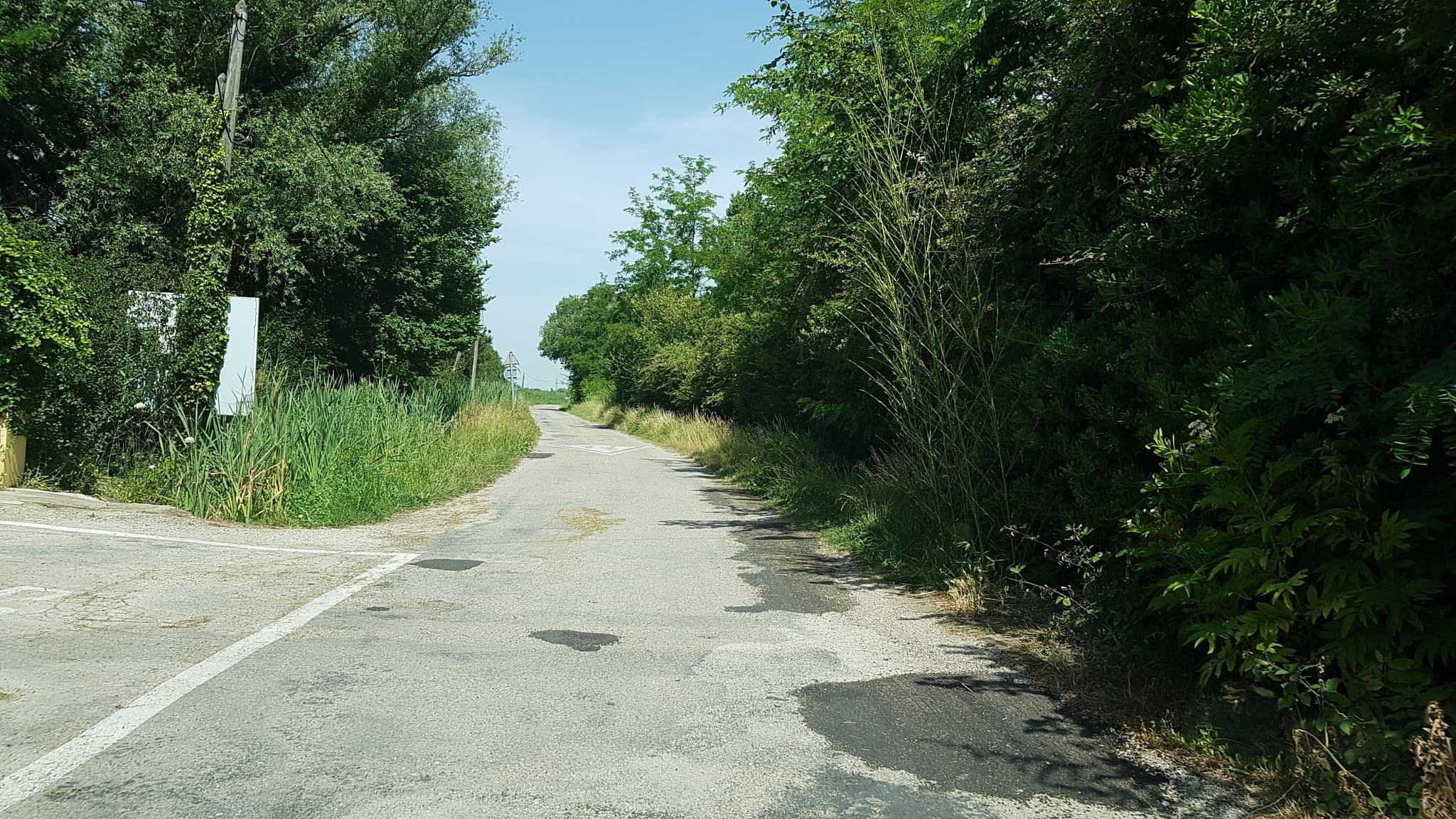 Street view near Mas le Petit Romieu, Arles — © nocarto (CC BY-SA · Mapillary)