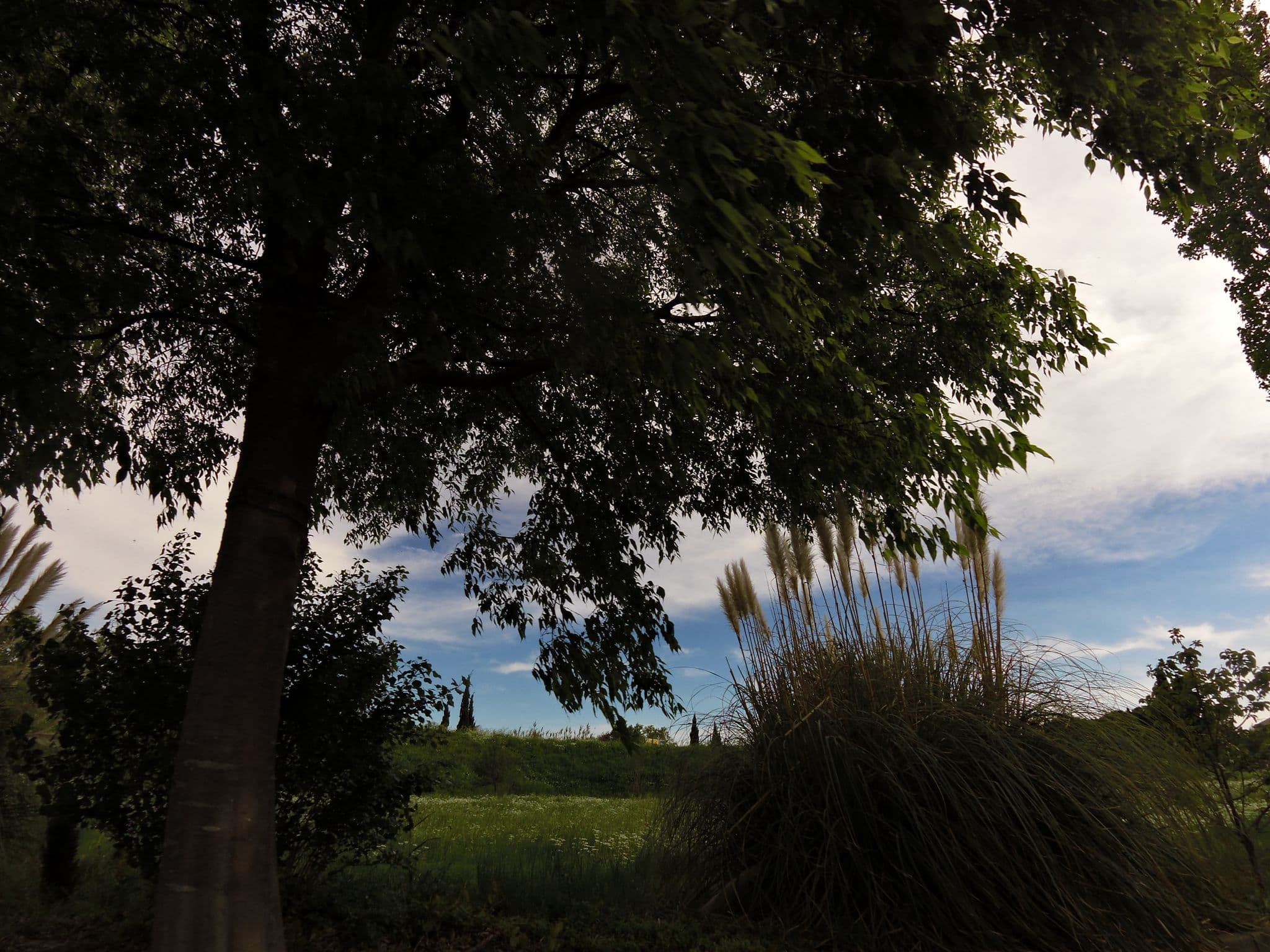 Street view near Antho, Lunel — © balooval (CC BY-SA · Mapillary)