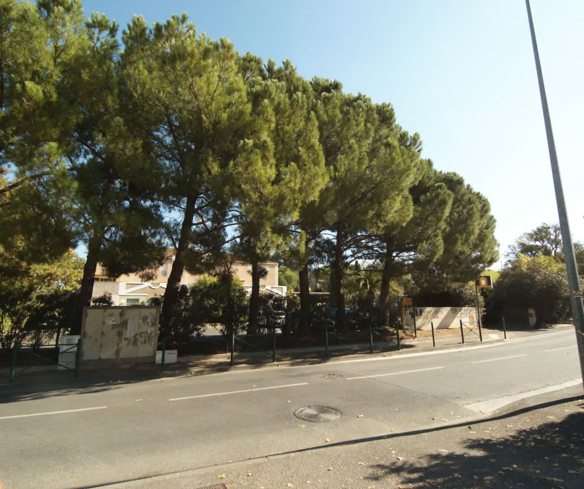 Street view near Le César, Plan-de-Cuques — © sogefi (CC BY-SA · Mapillary)