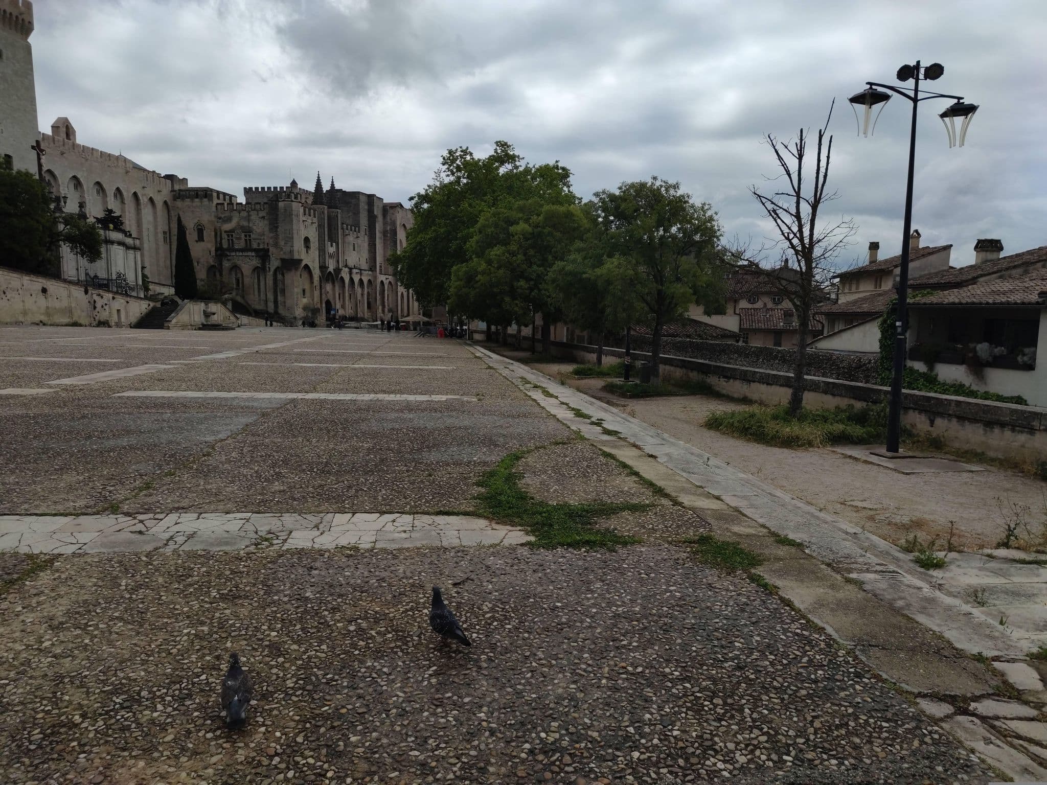 Street view near L'Ombre du Palais, Avignon — © zimmy (CC BY-SA · Mapillary)