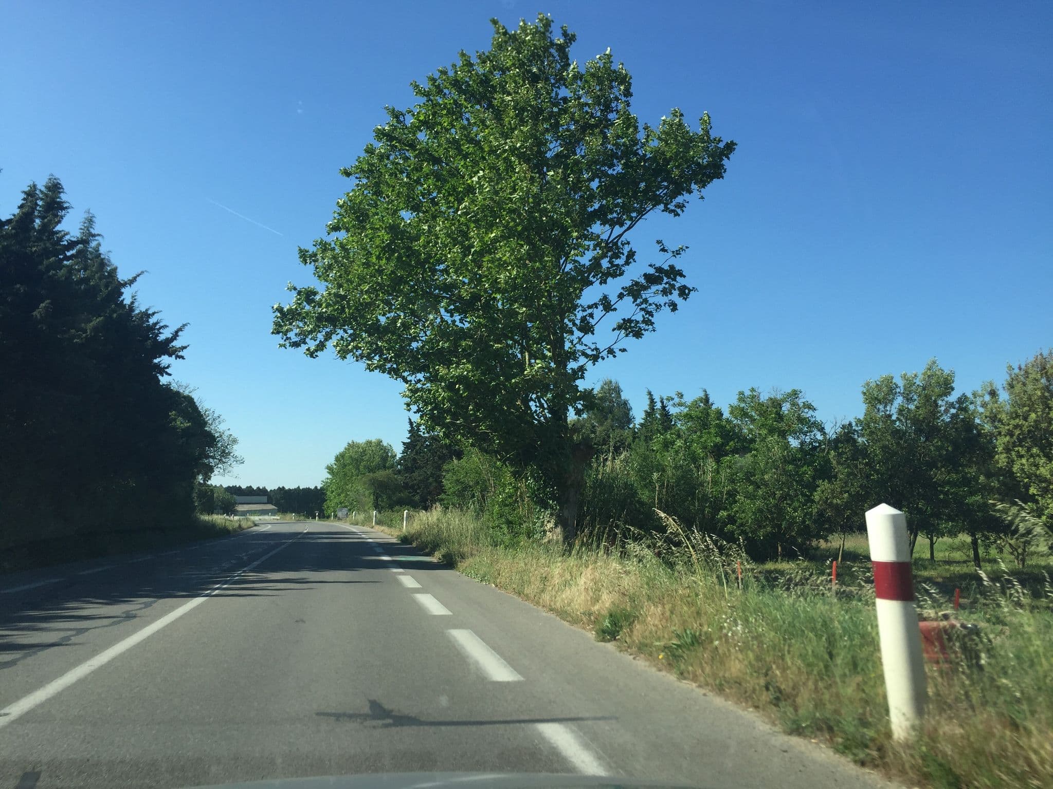 Street view near Le Jardin des Amandières, Velleron — © pgiraud (CC BY-SA · Mapillary)