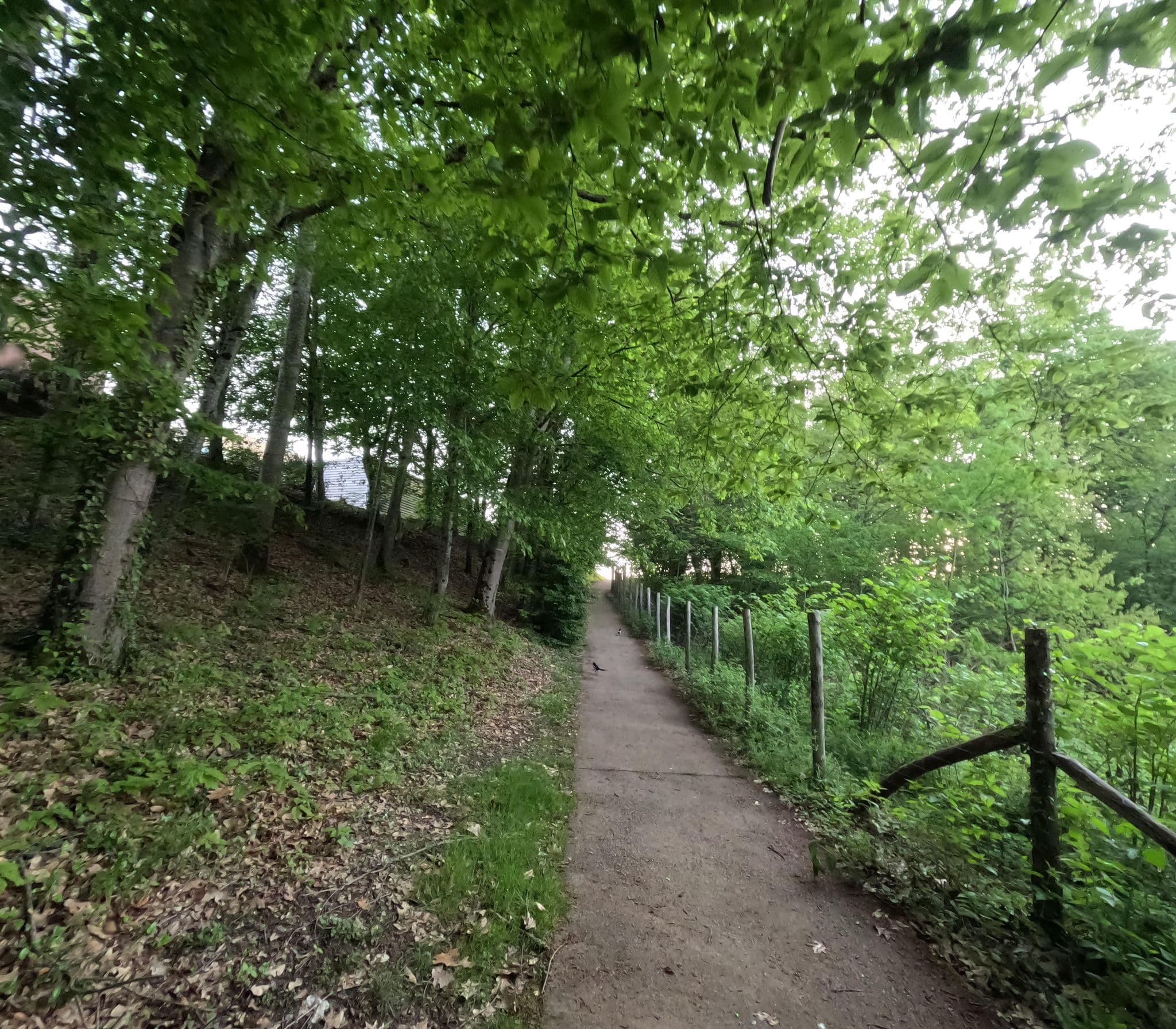 Street view near Hotel du parc, Couzeix — © valentinb (CC BY-SA · Mapillary)